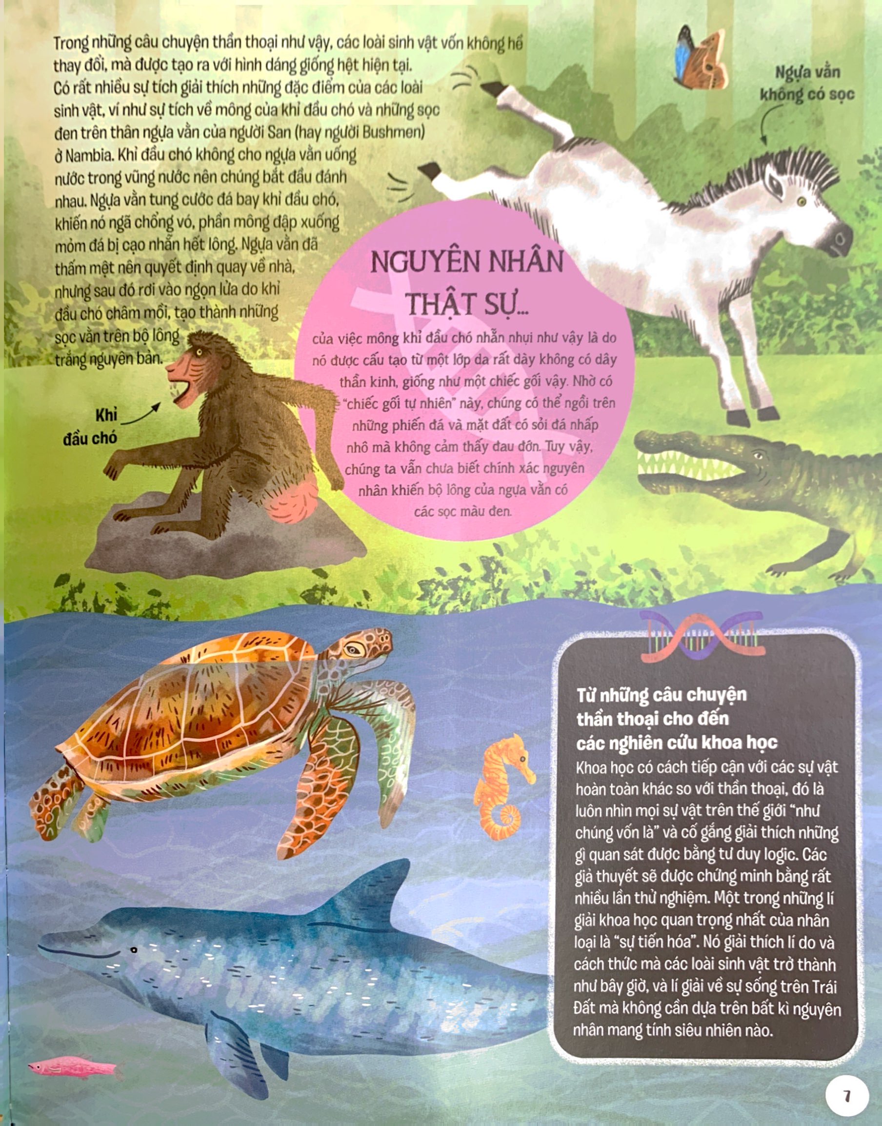 lược sử sự sống bằng hình - tiến hóa diệu kì - Ảnh 5