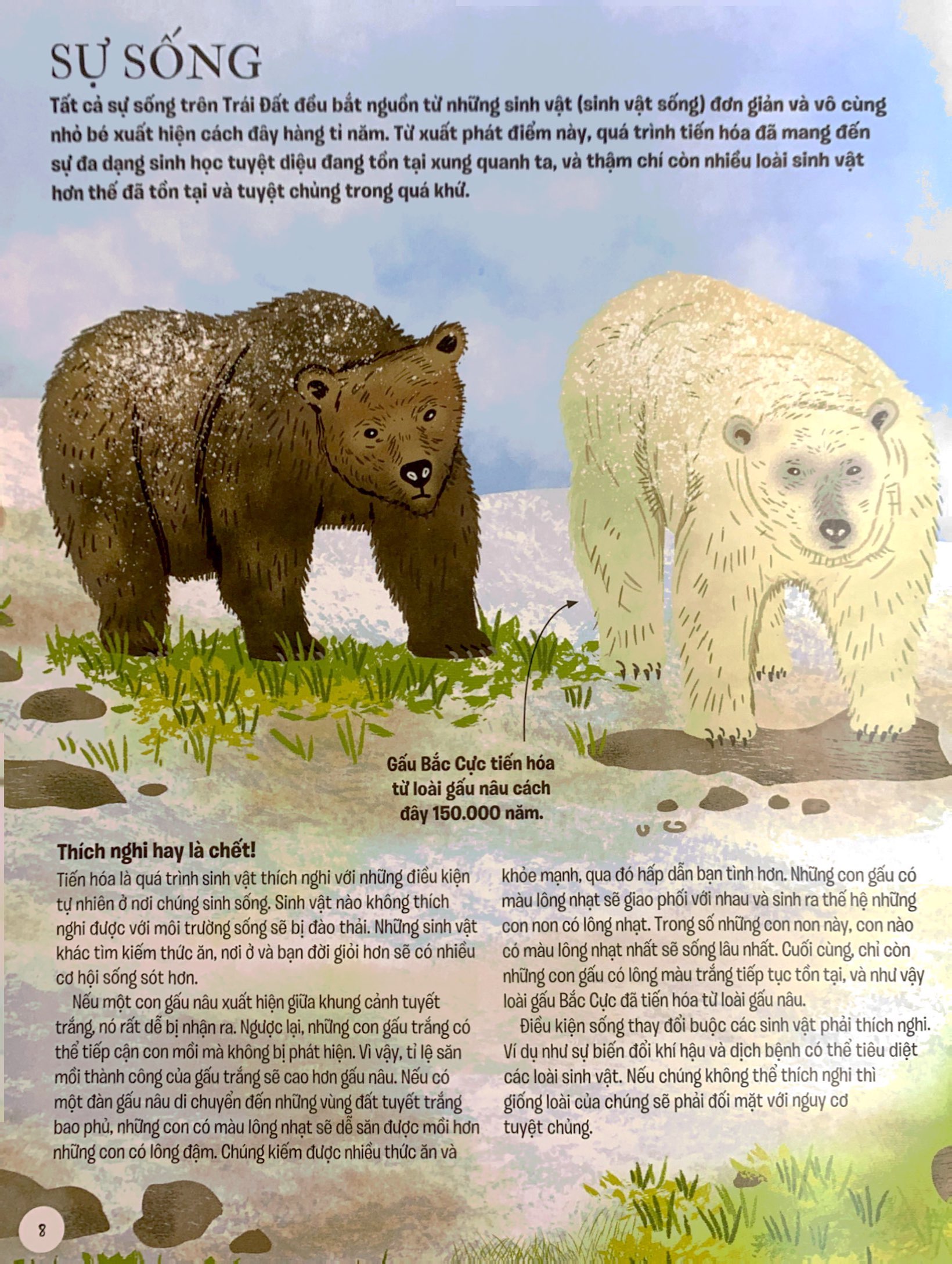 lược sử sự sống bằng hình - tiến hóa diệu kì - Ảnh 6