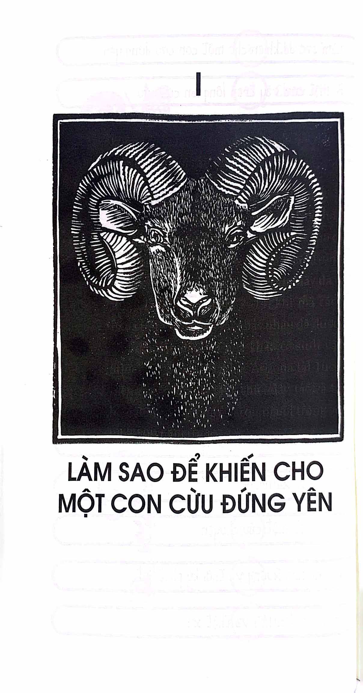 lược sử thế giới trên lưng cừu - Ảnh 5
