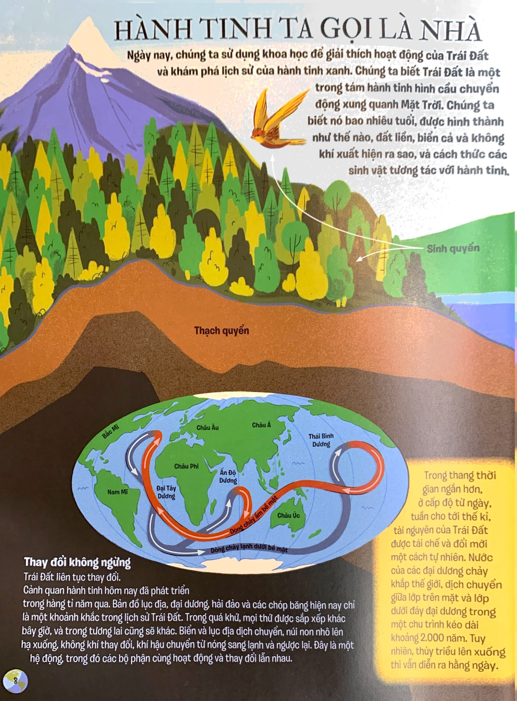 lược sử trái đất bằng hình - từ cát bụi đến đô thị hiện đại - Ảnh 6