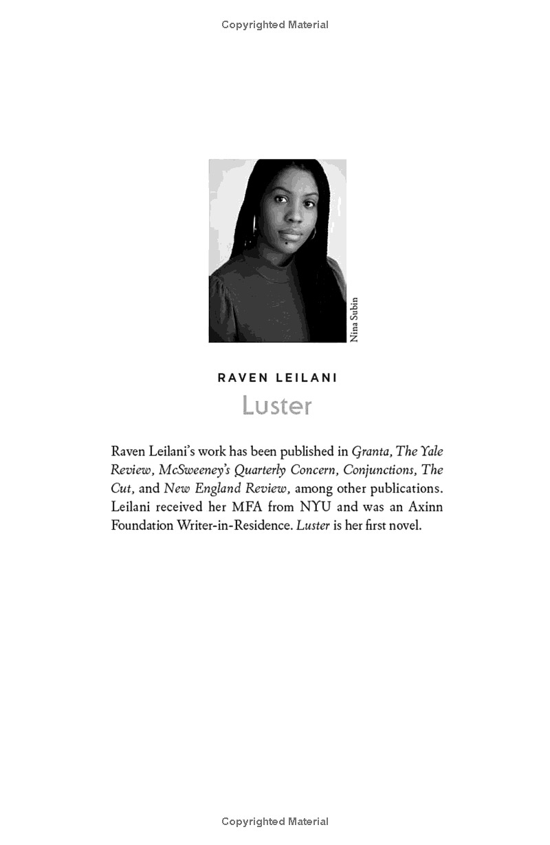 luster: a novel - Ảnh 15