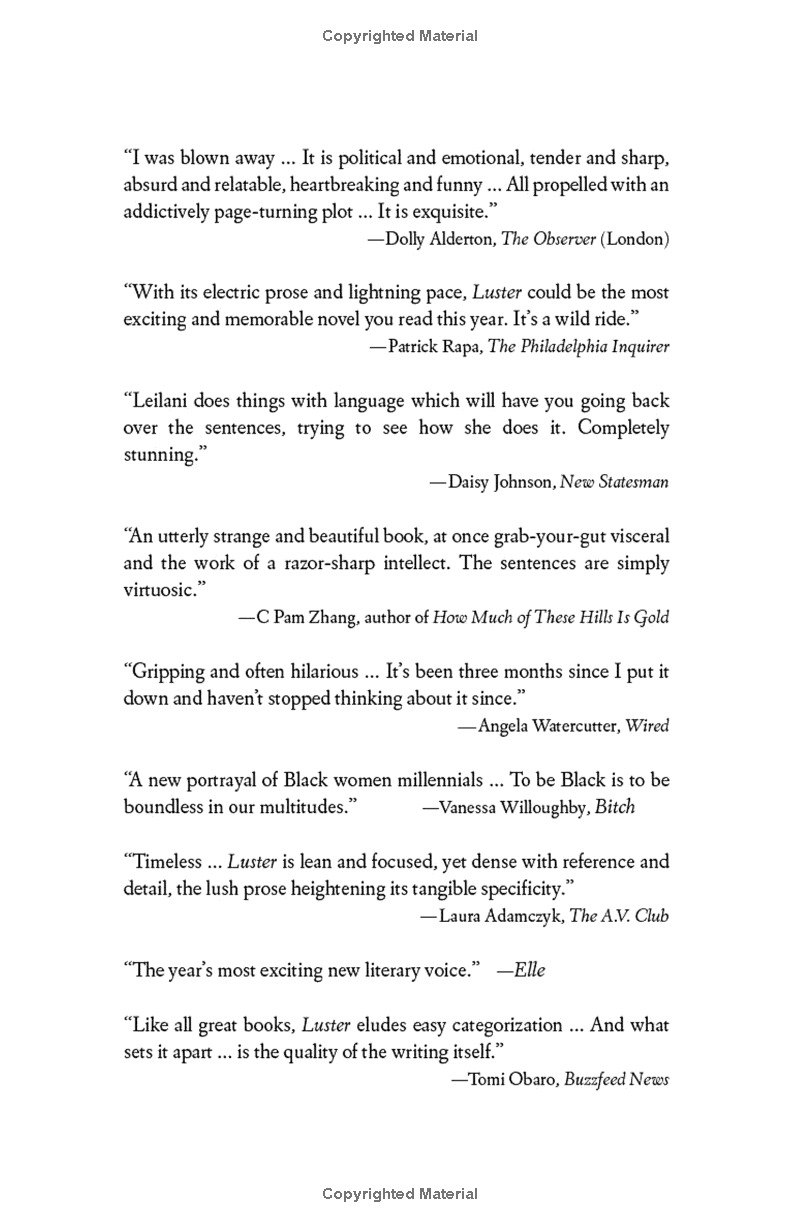 luster: a novel - Ảnh 6