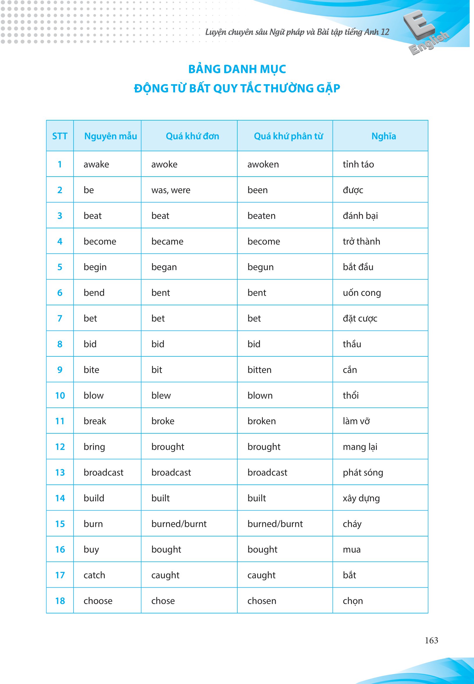 luyện chuyên sâu ngữ pháp và bài tập tiếng anh 12 - Ảnh 13