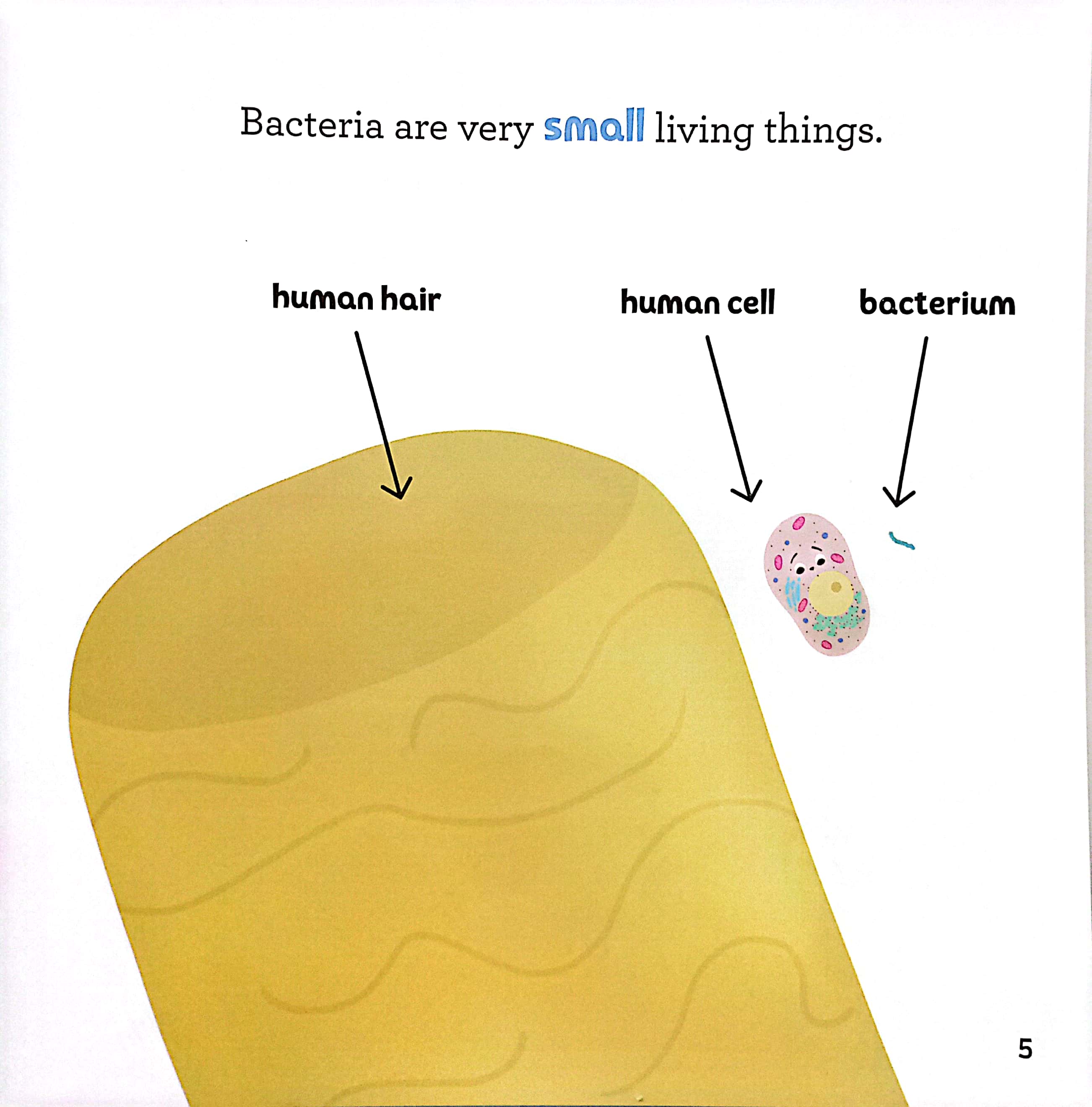 luyện đọc tiếng anh, phát triển từ vựng - nhà sinh hóa tương lai - bacteria & antibiotics - vi khuẩn & kháng sinh - Ảnh 4