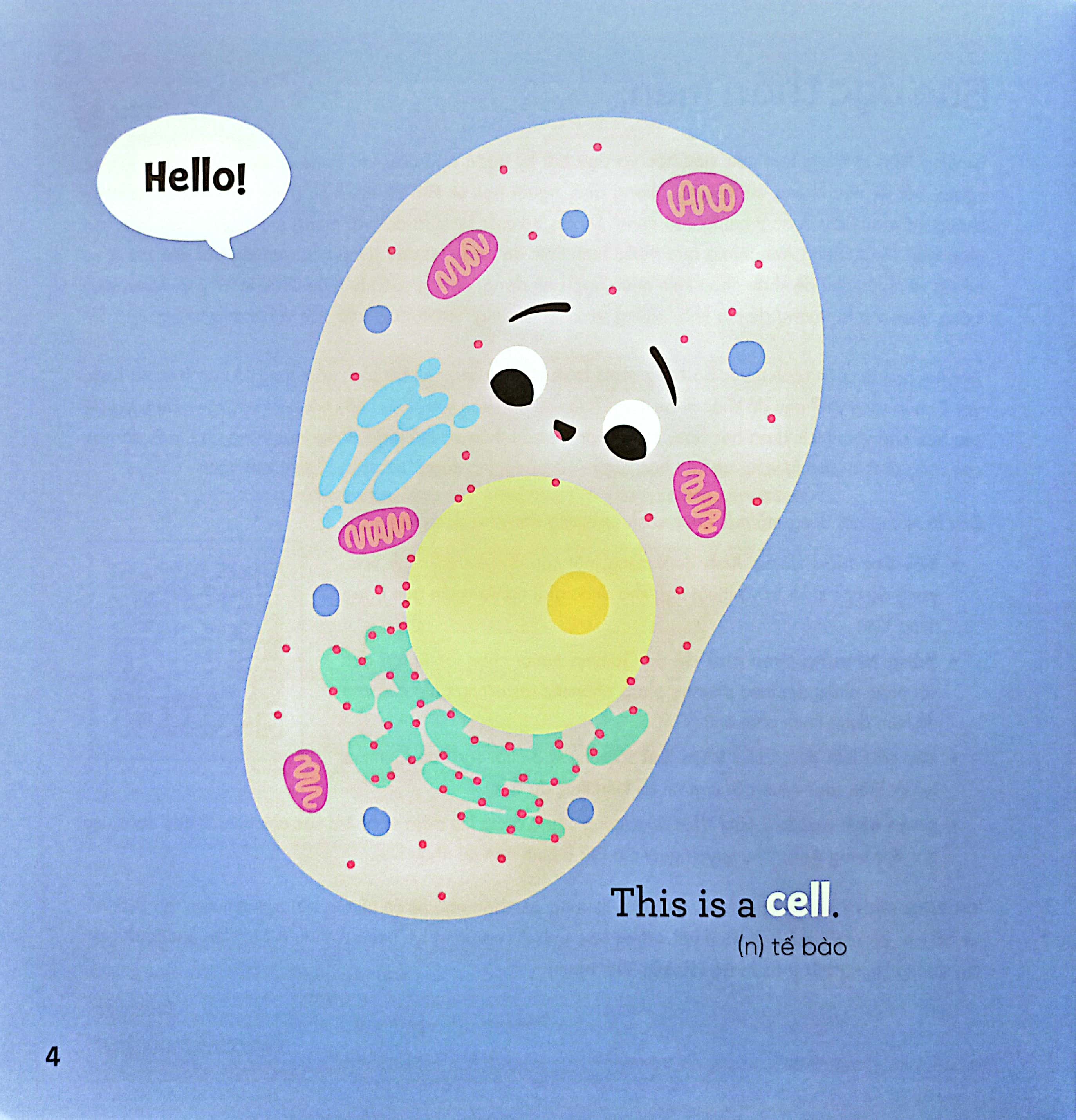 luyện đọc tiếng anh, phát triển từ vựng - nhà sinh hóa tương lai - dna - người đưa tin siêu đẳng - Ảnh 3