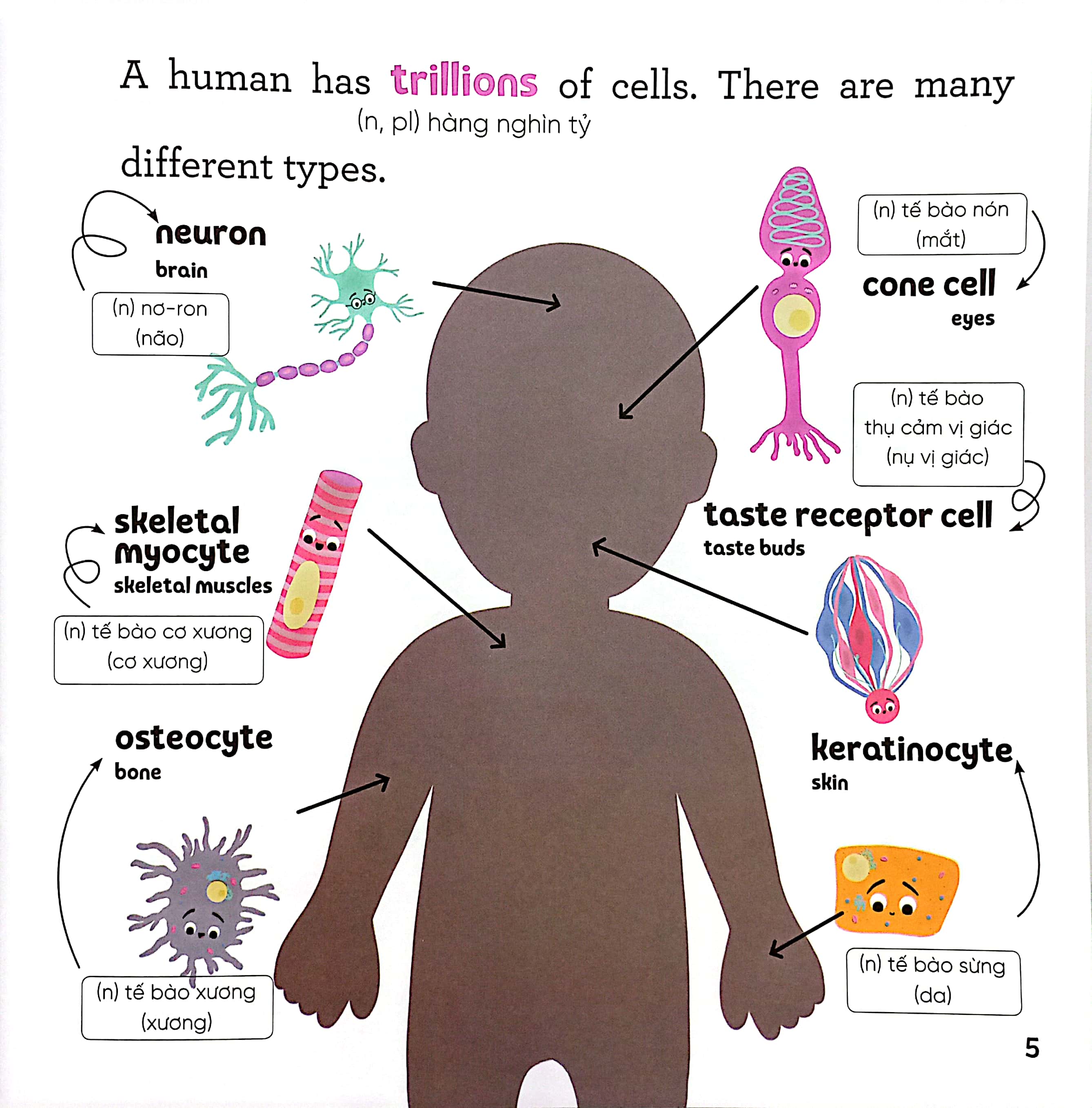 luyện đọc tiếng anh, phát triển từ vựng - nhà sinh hóa tương lai - dna - người đưa tin siêu đẳng - Ảnh 4