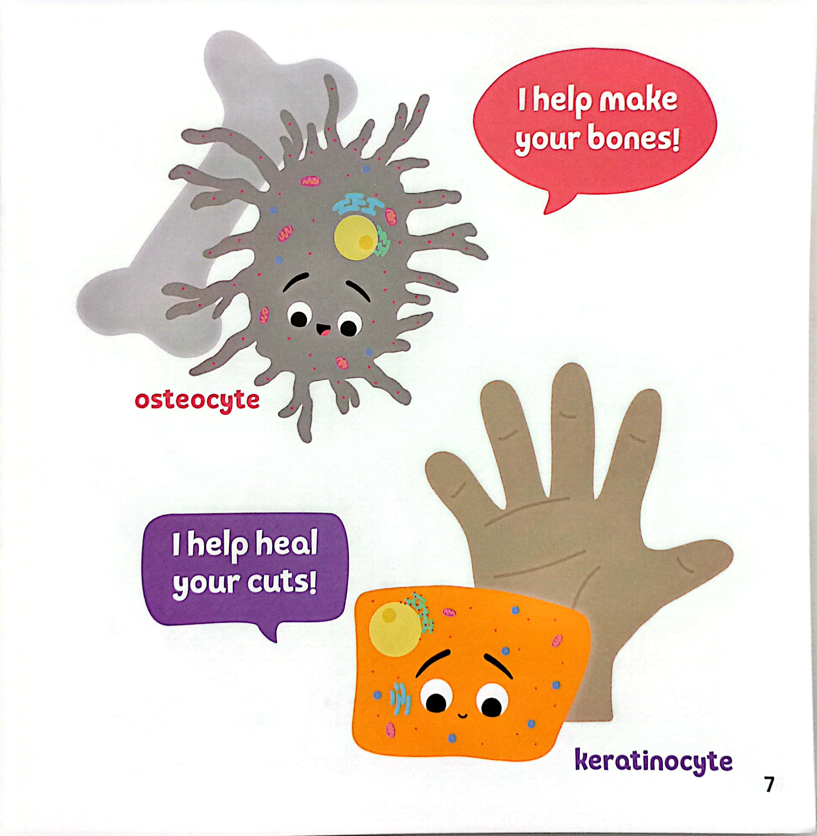 luyện đọc tiếng anh, phát triển từ vựng - nhà sinh hóa tương lai - dna - người đưa tin siêu đẳng - Ảnh 6