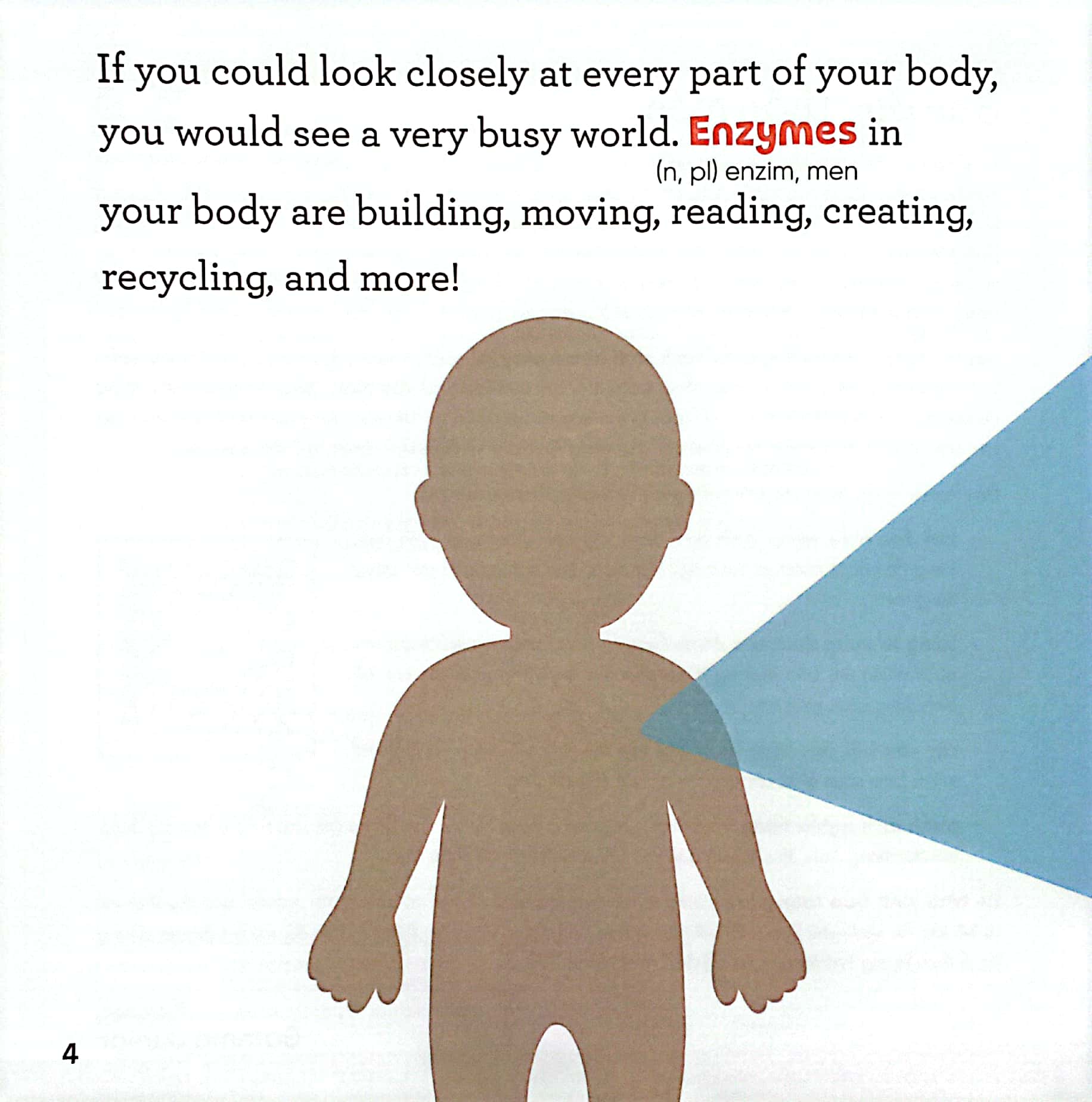 luyện đọc tiếng anh, phát triển từ vựng - nhà sinh hóa tương lai - enzymes - trợ thủ đắc lực của quá trình trao đổi chất - Ảnh 3