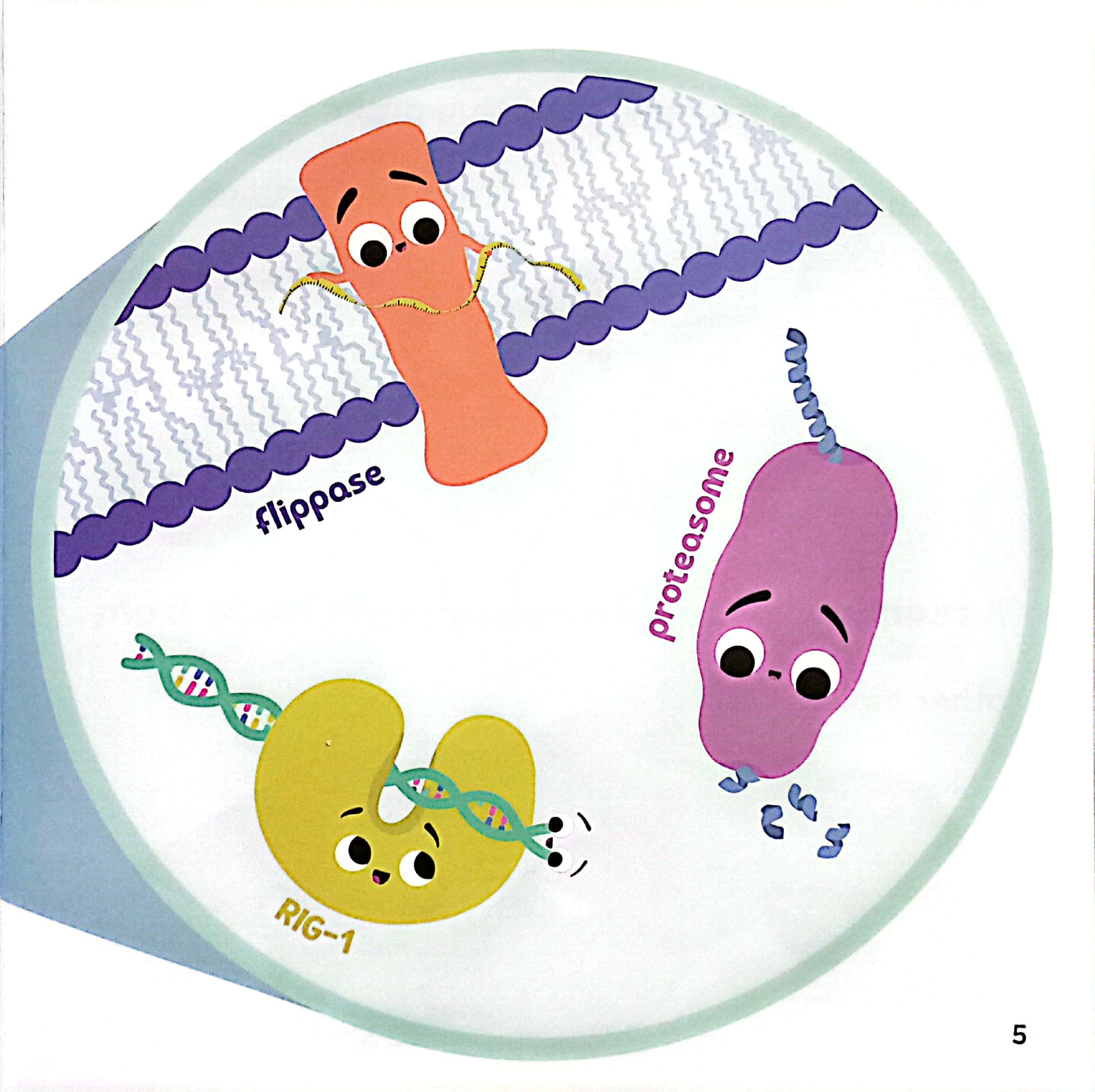 luyện đọc tiếng anh, phát triển từ vựng - nhà sinh hóa tương lai - enzymes - trợ thủ đắc lực của quá trình trao đổi chất - Ảnh 4