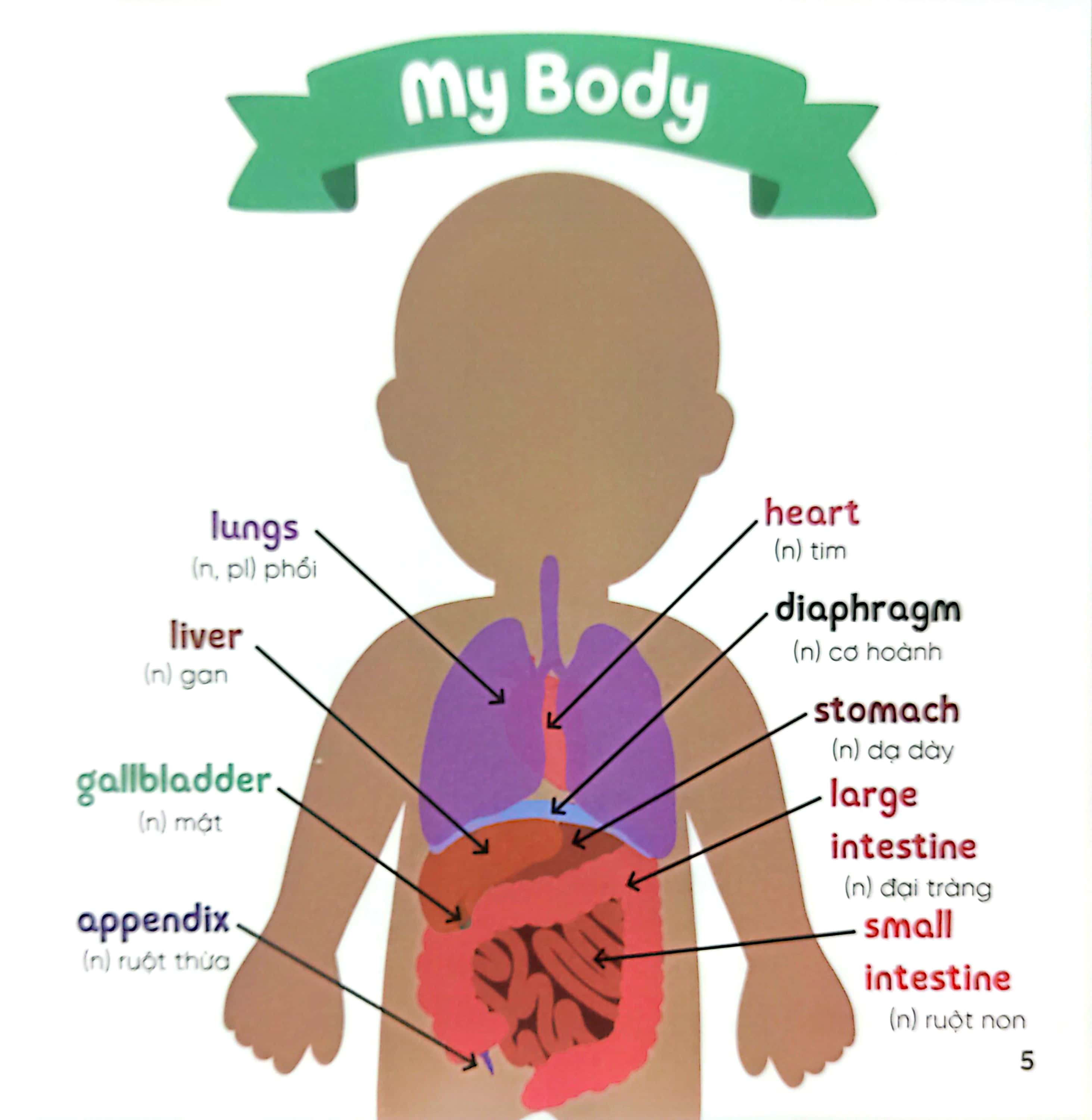 luyện đọc tiếng anh, phát triển từ vựng - nhà sinh hóa tương lai - my doctor's visit - cơ thể & sức khỏe - Ảnh 4
