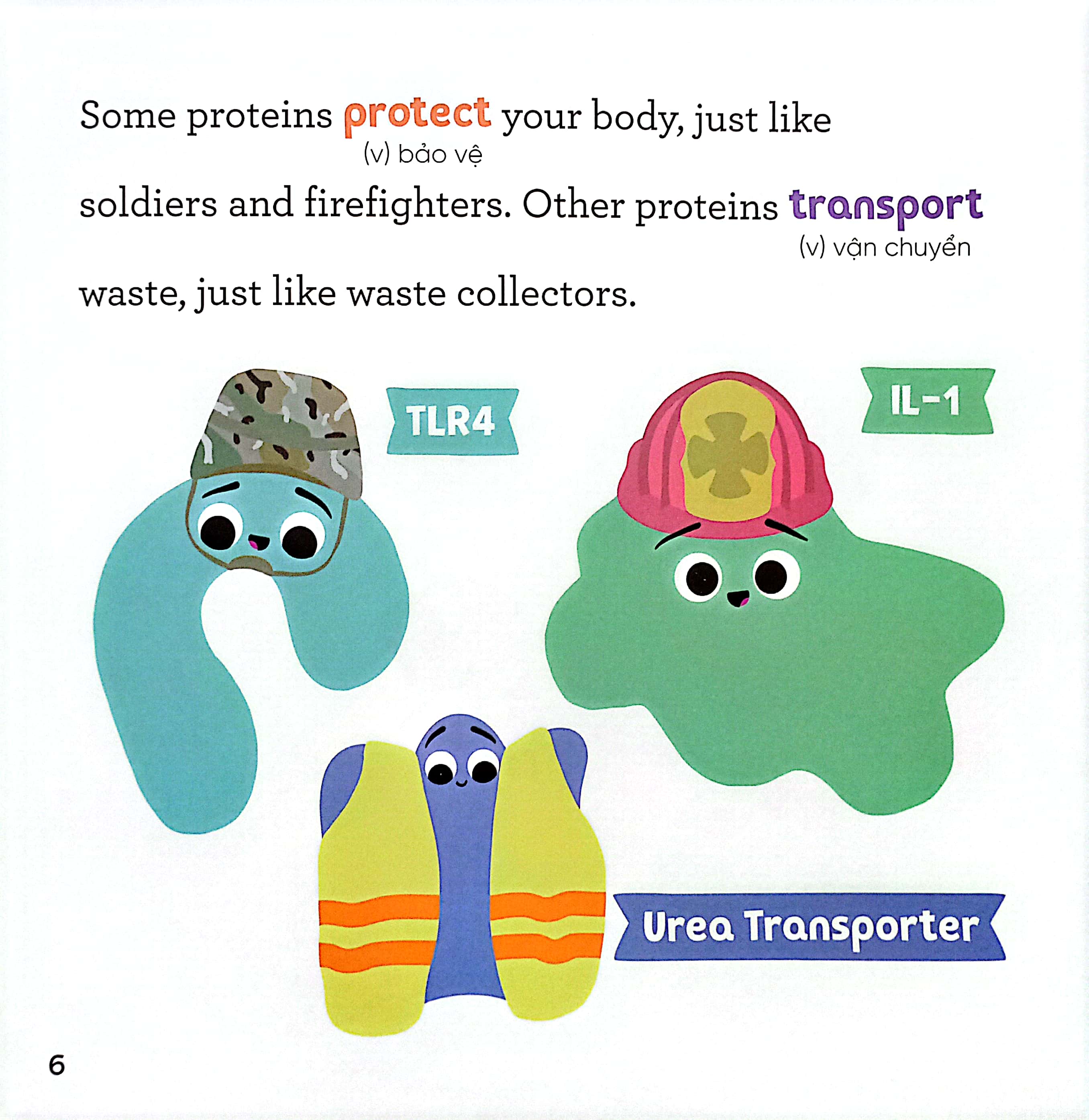 luyện đọc tiếng anh, phát triển từ vựng - nhà sinh hóa tương lai - proteins - những kẻ đa nhiệm tí hon - Ảnh 5