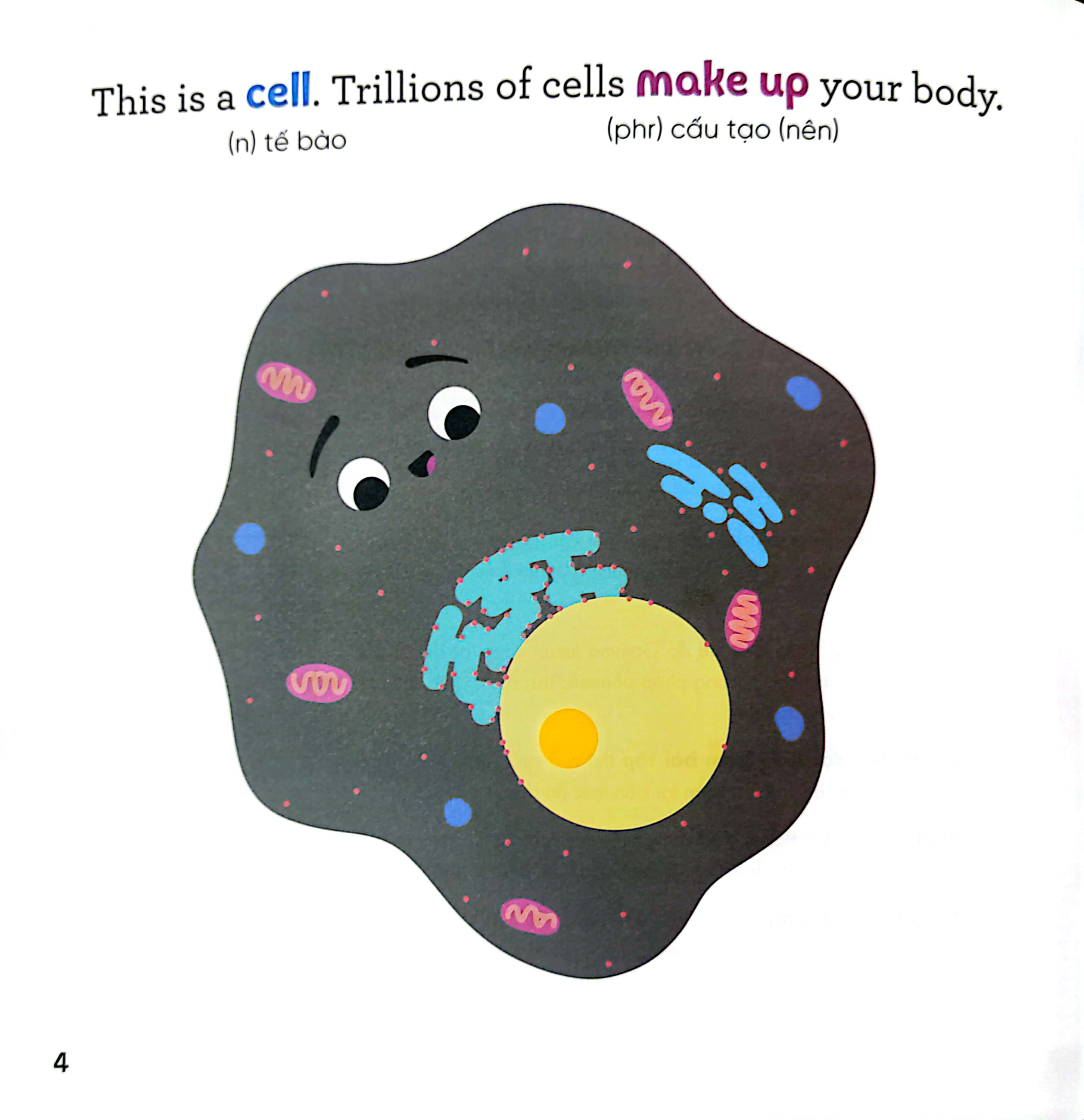 luyện đọc tiếng anh, phát triển từ vựng - nhà sinh hóa tương lai - rna - những siêu anh hùng của cơ thể - Ảnh 3