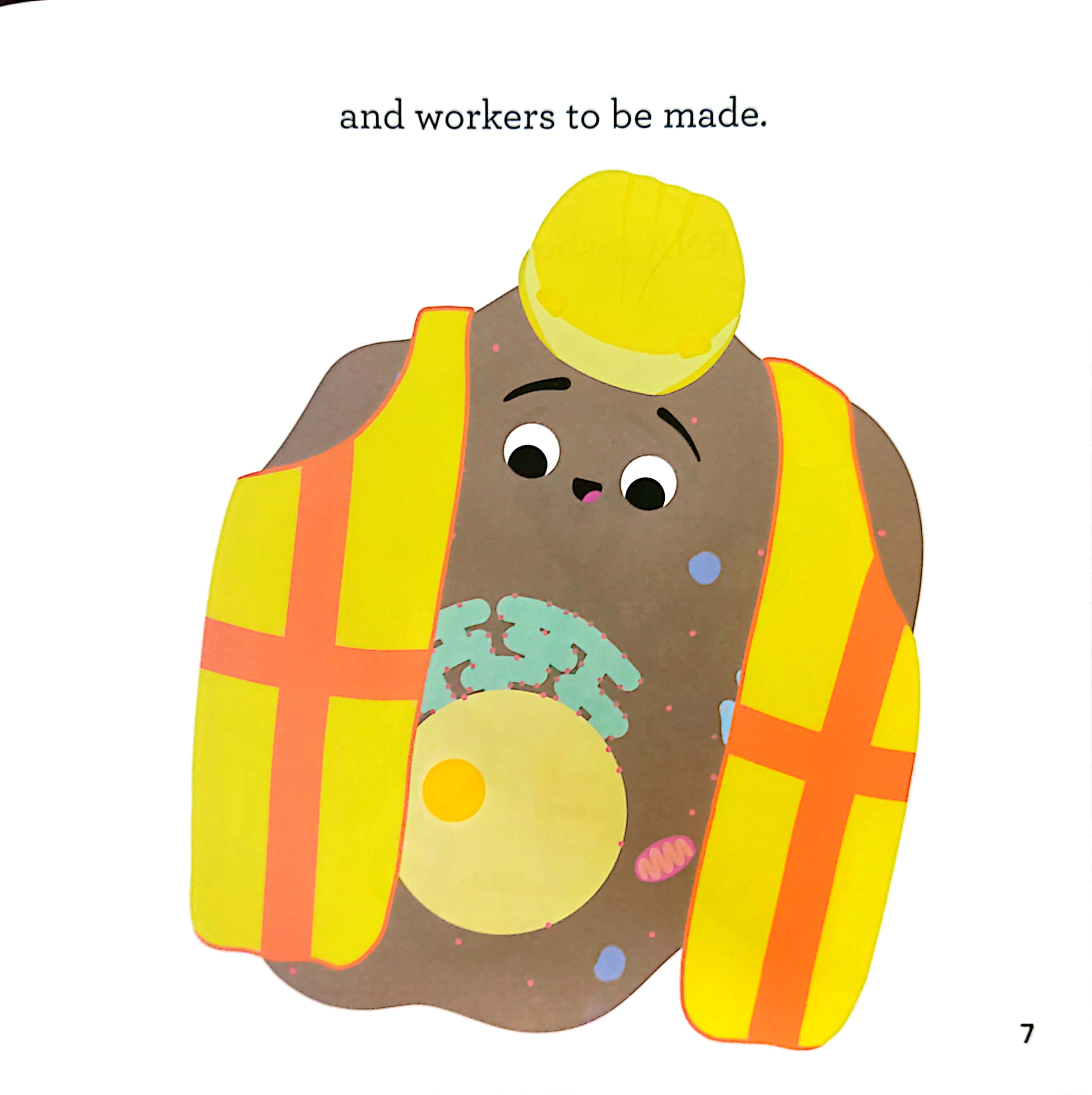 luyện đọc tiếng anh, phát triển từ vựng - nhà sinh hóa tương lai - rna - những siêu anh hùng của cơ thể - Ảnh 6