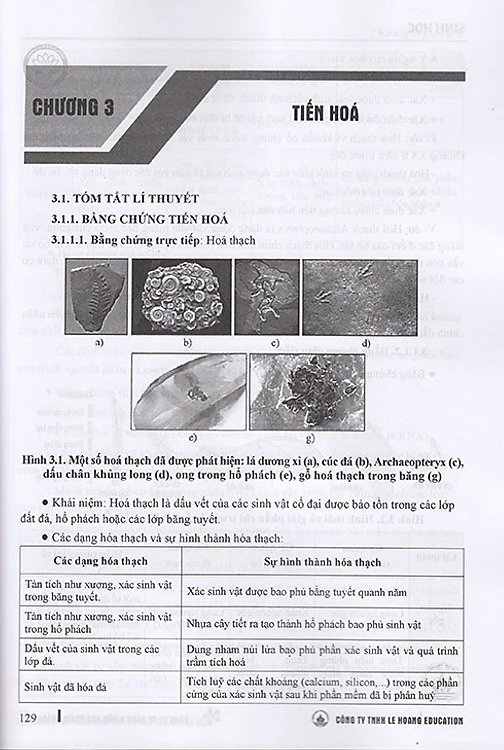 Luyện Thi Đánh Giá Năng Lực - Môn Sinh Học - Kiến Thức Lớp 12 (Dành Cho Các Kì Thi Đánh Giá Năng Lực) - Ảnh 6