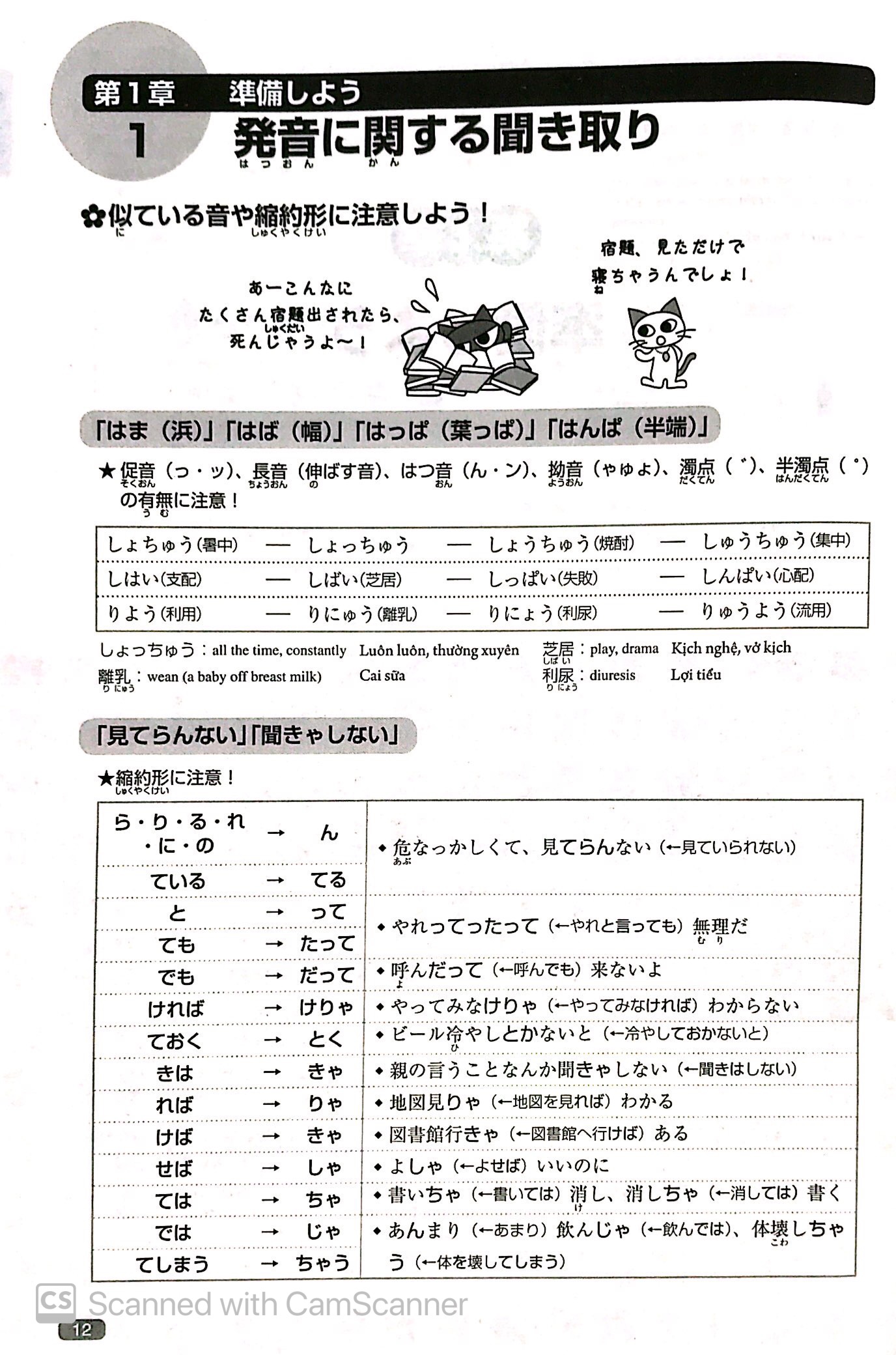 luyện thi năng lực nhật ngữ n1 – nghe hiểu - Ảnh 11