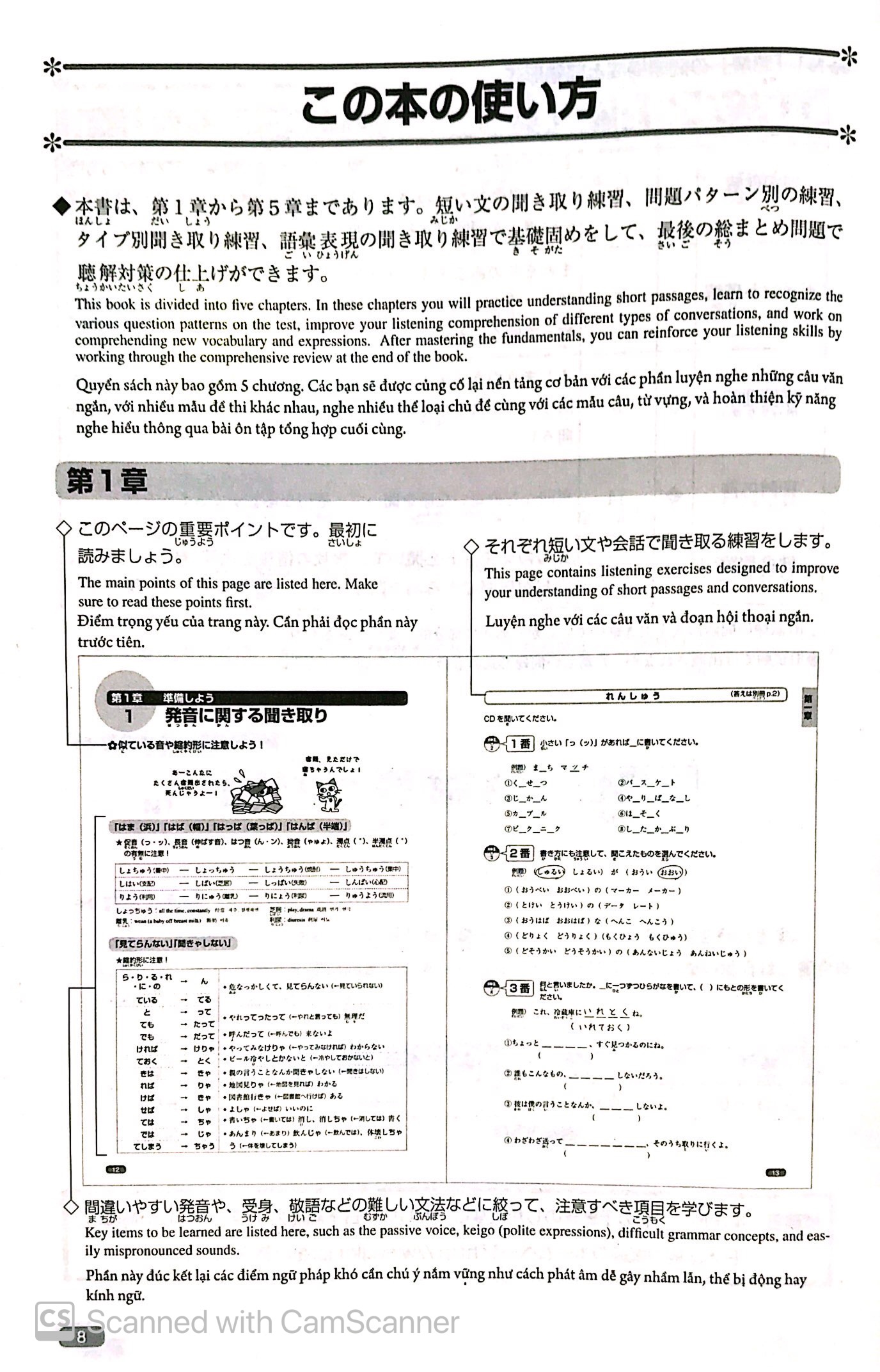 luyện thi năng lực nhật ngữ n1 – nghe hiểu - Ảnh 7