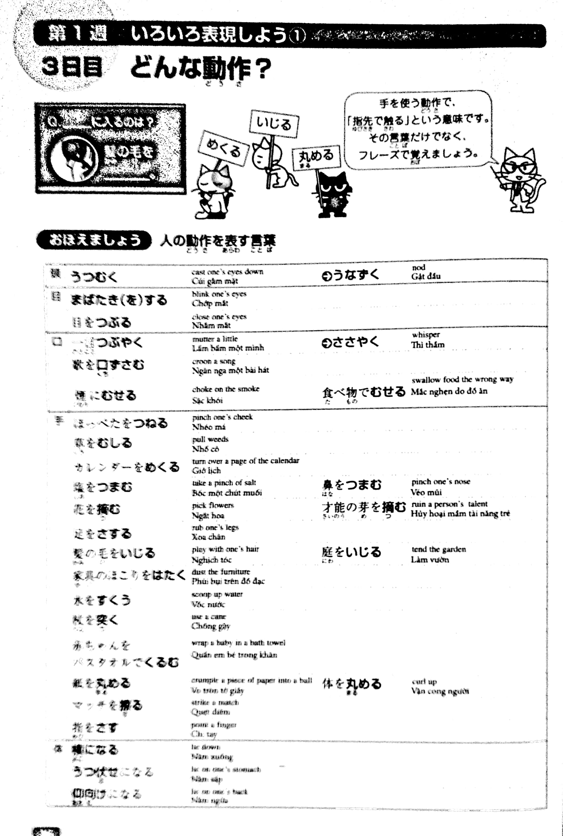 luyện thi năng lực nhật ngữ n1 – từ vựng - Ảnh 7