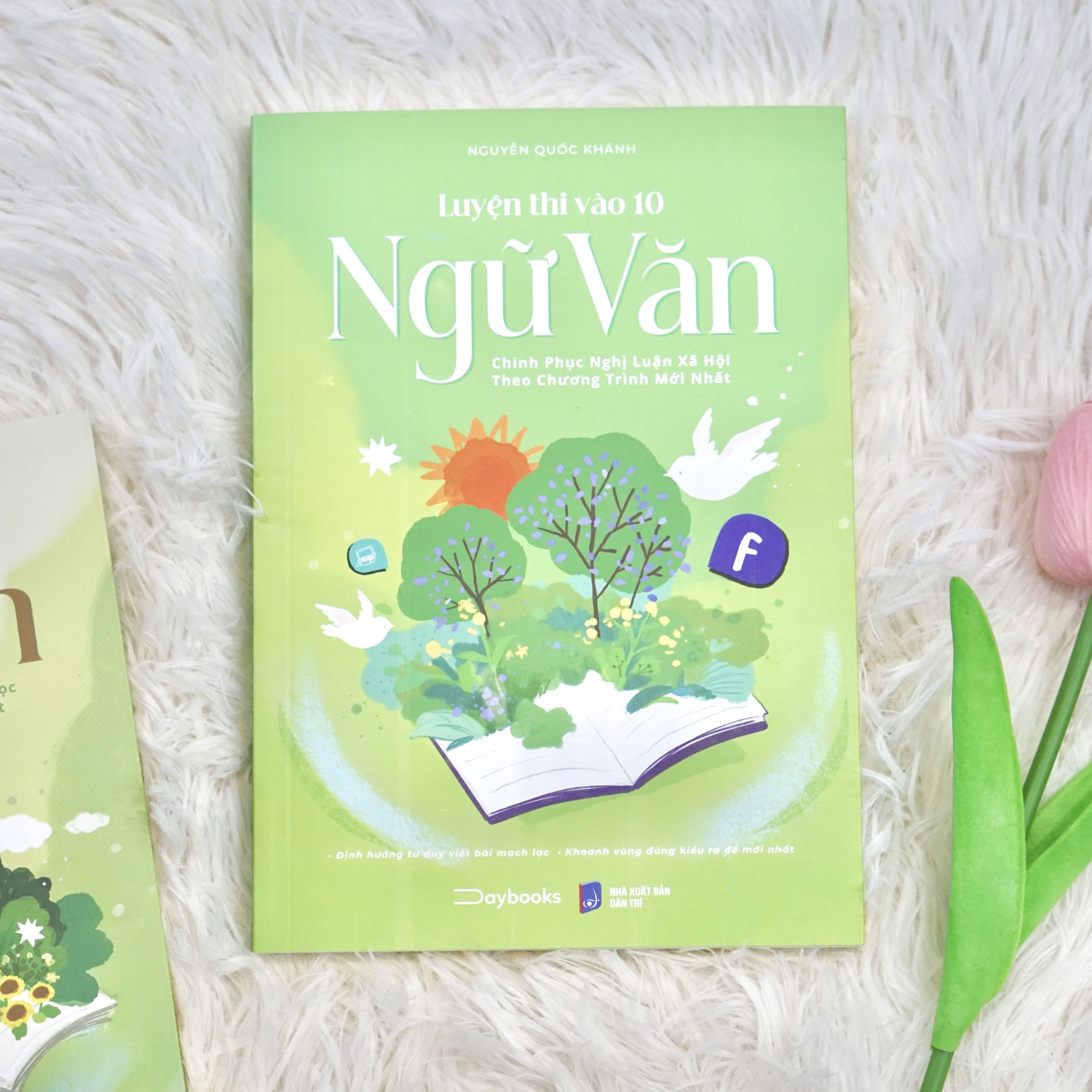 Luyện Thi Vào 10 Ngữ Văn - Chinh Phục Nghị Luận Xã Hội Theo Chương Trình Mới Nhất - Ảnh 3