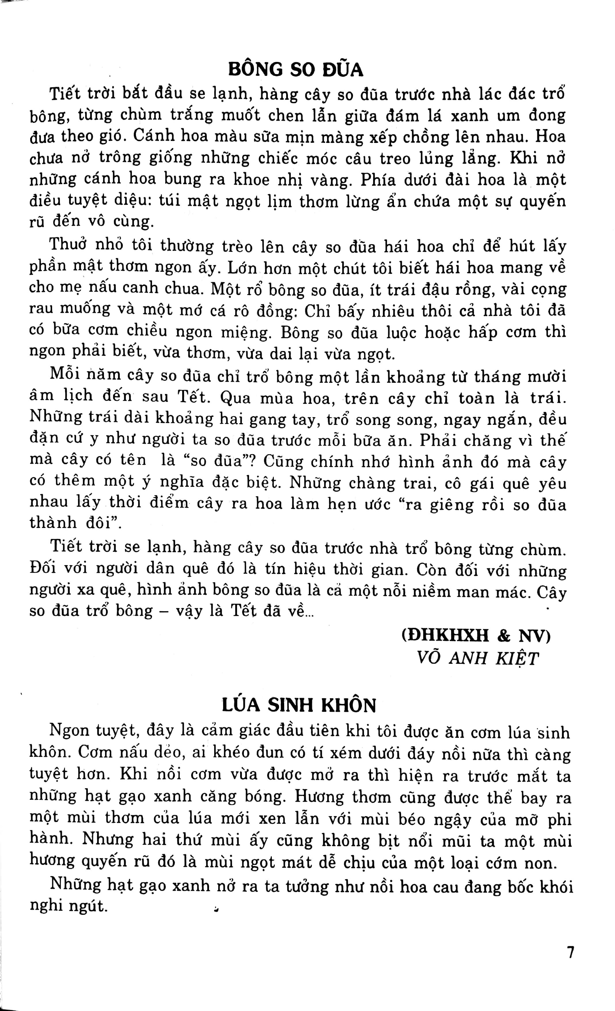 luyện viết văn hay lớp 9 - Ảnh 4