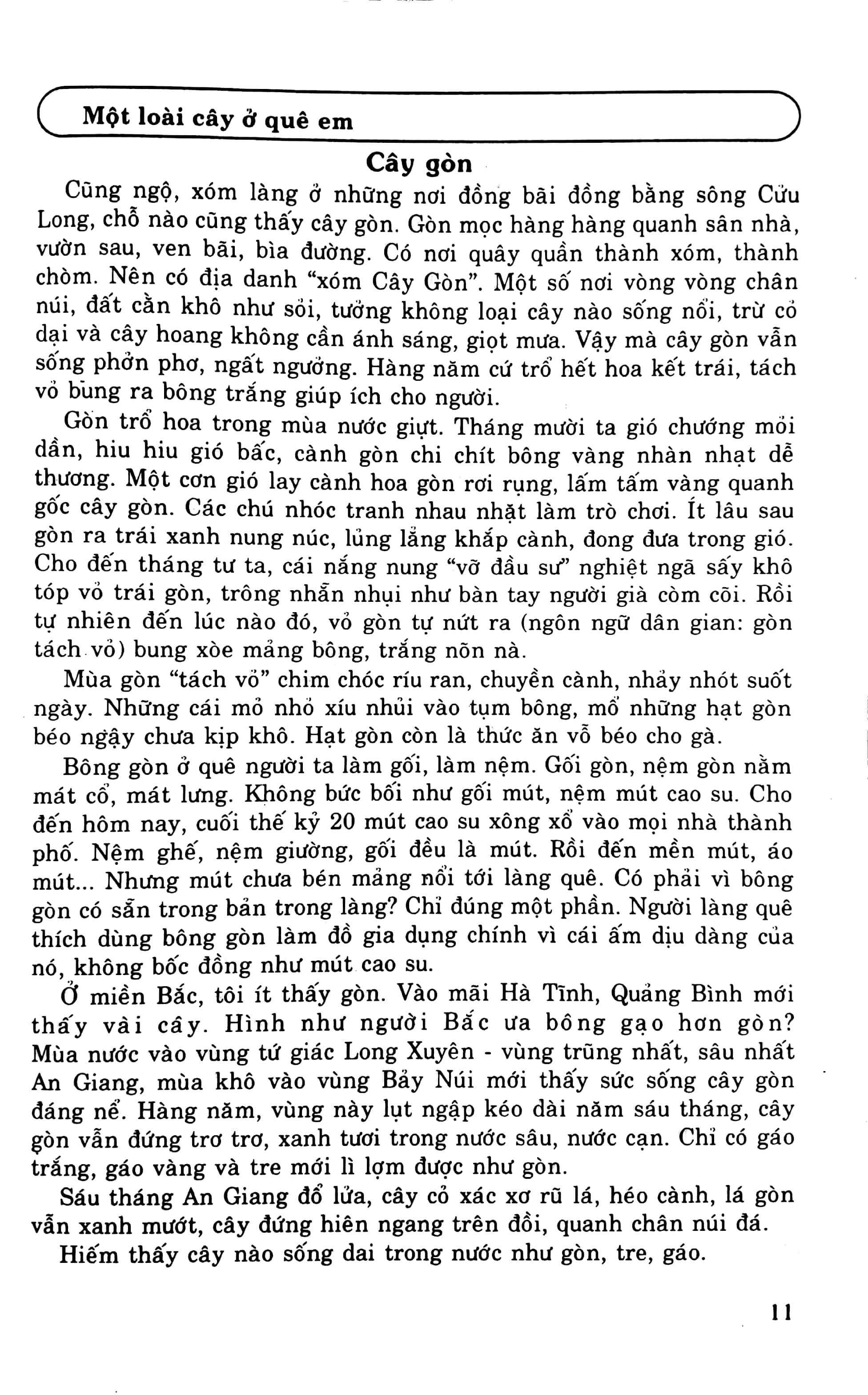 luyện viết văn hay lớp 9 - Ảnh 8