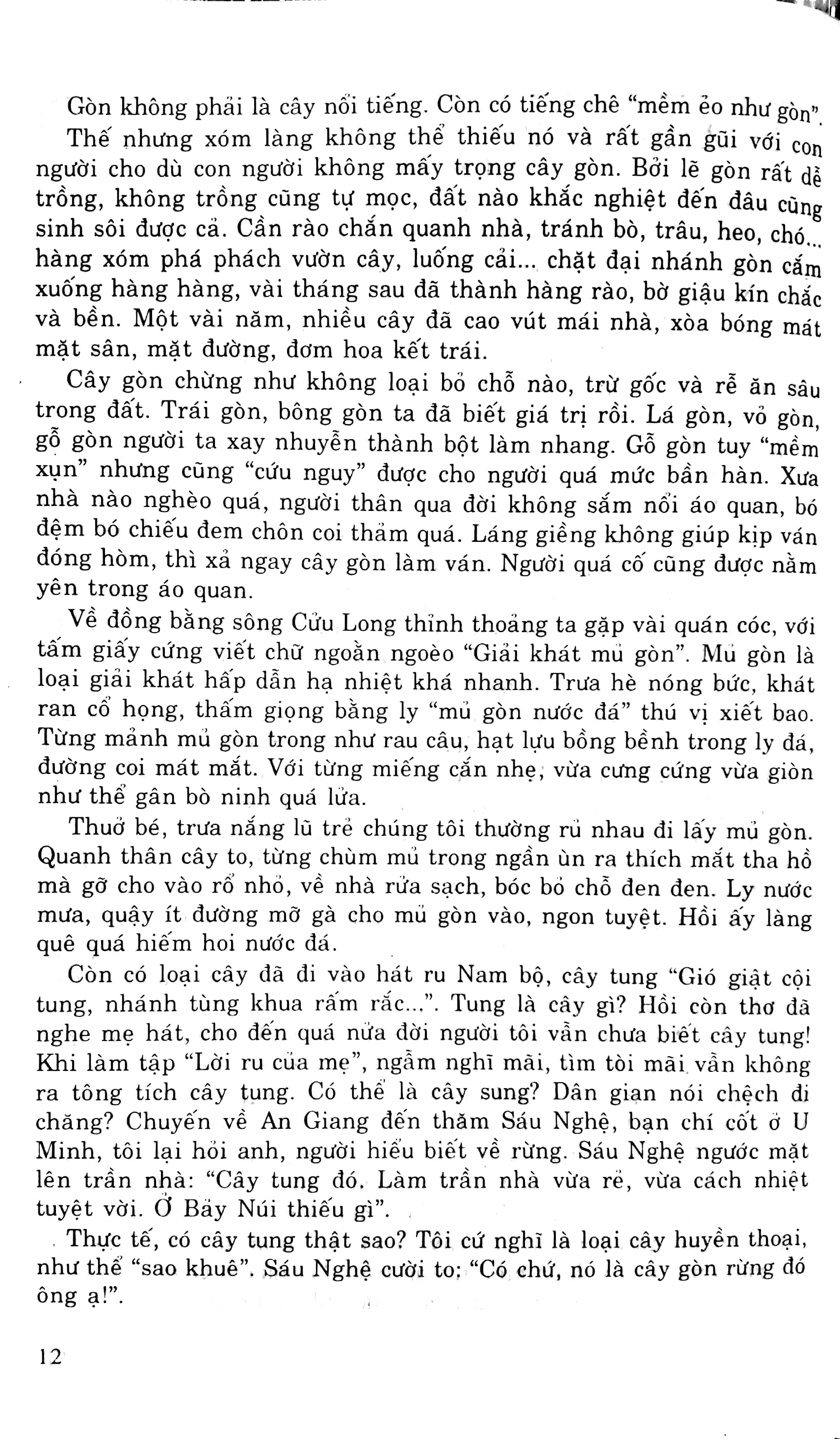 luyện viết văn hay lớp 9 - Ảnh 9