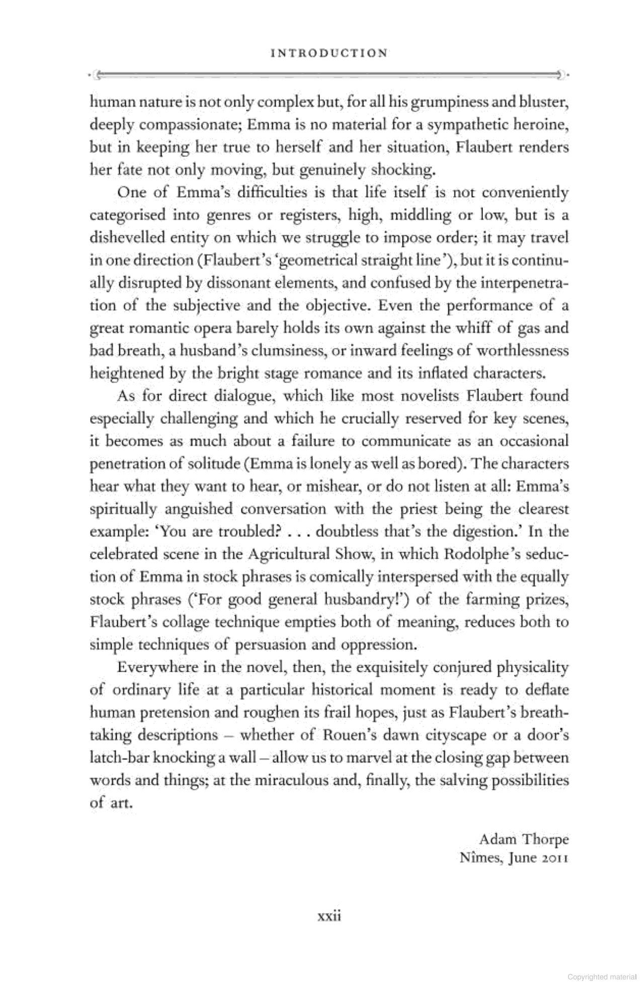 Madame Bovary - Ảnh 10