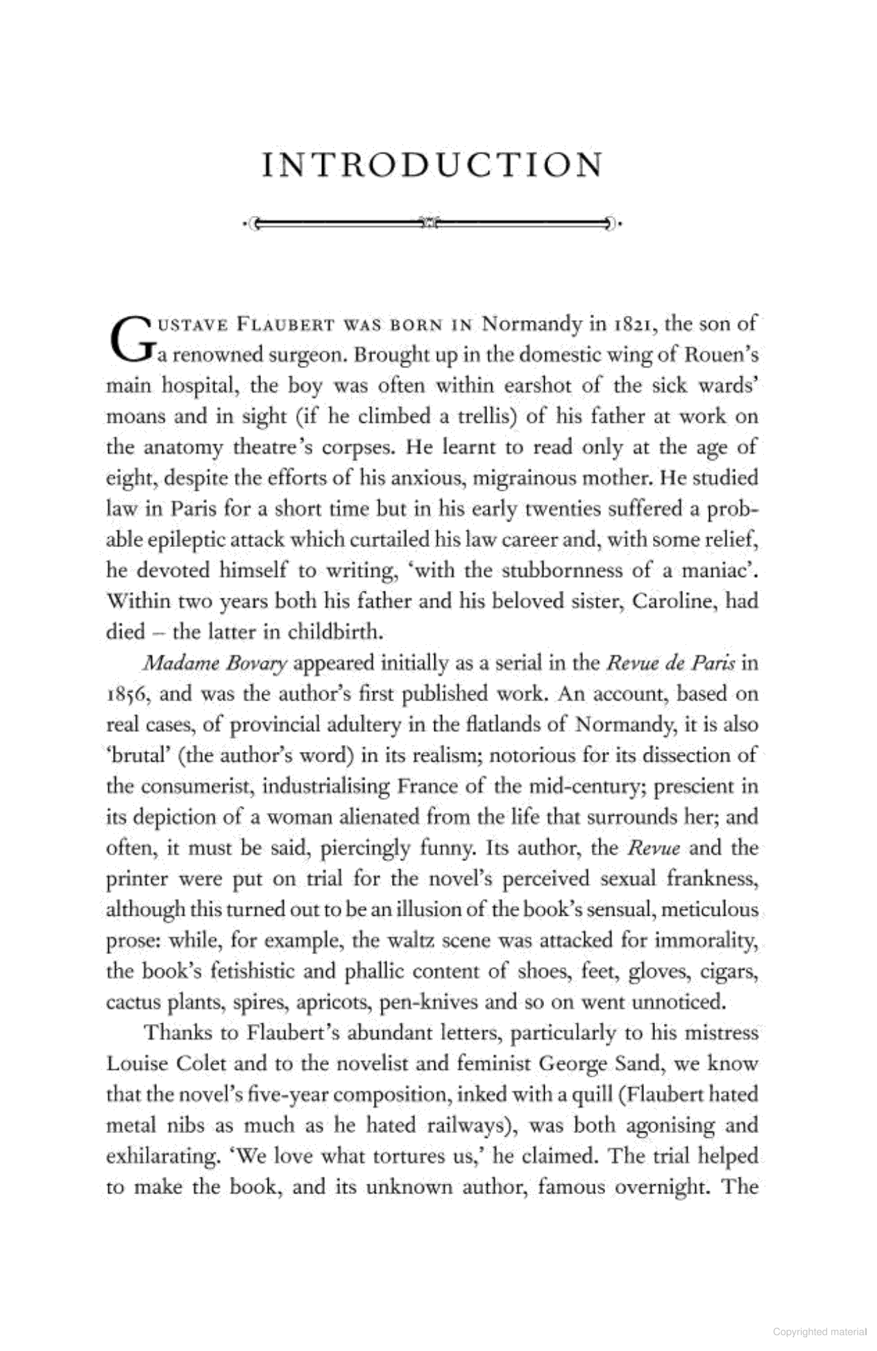 Madame Bovary - Ảnh 3