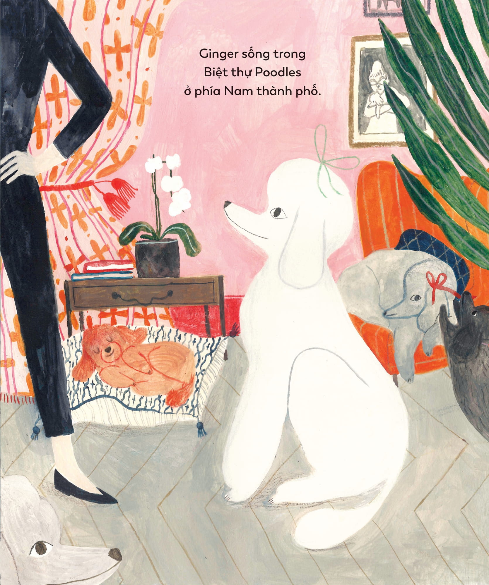 mái ấm của cún cưng - Ảnh 2