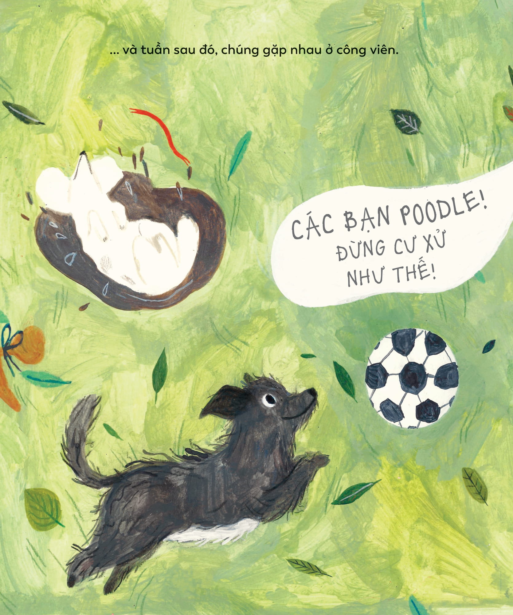 mái ấm của cún cưng - Ảnh 5