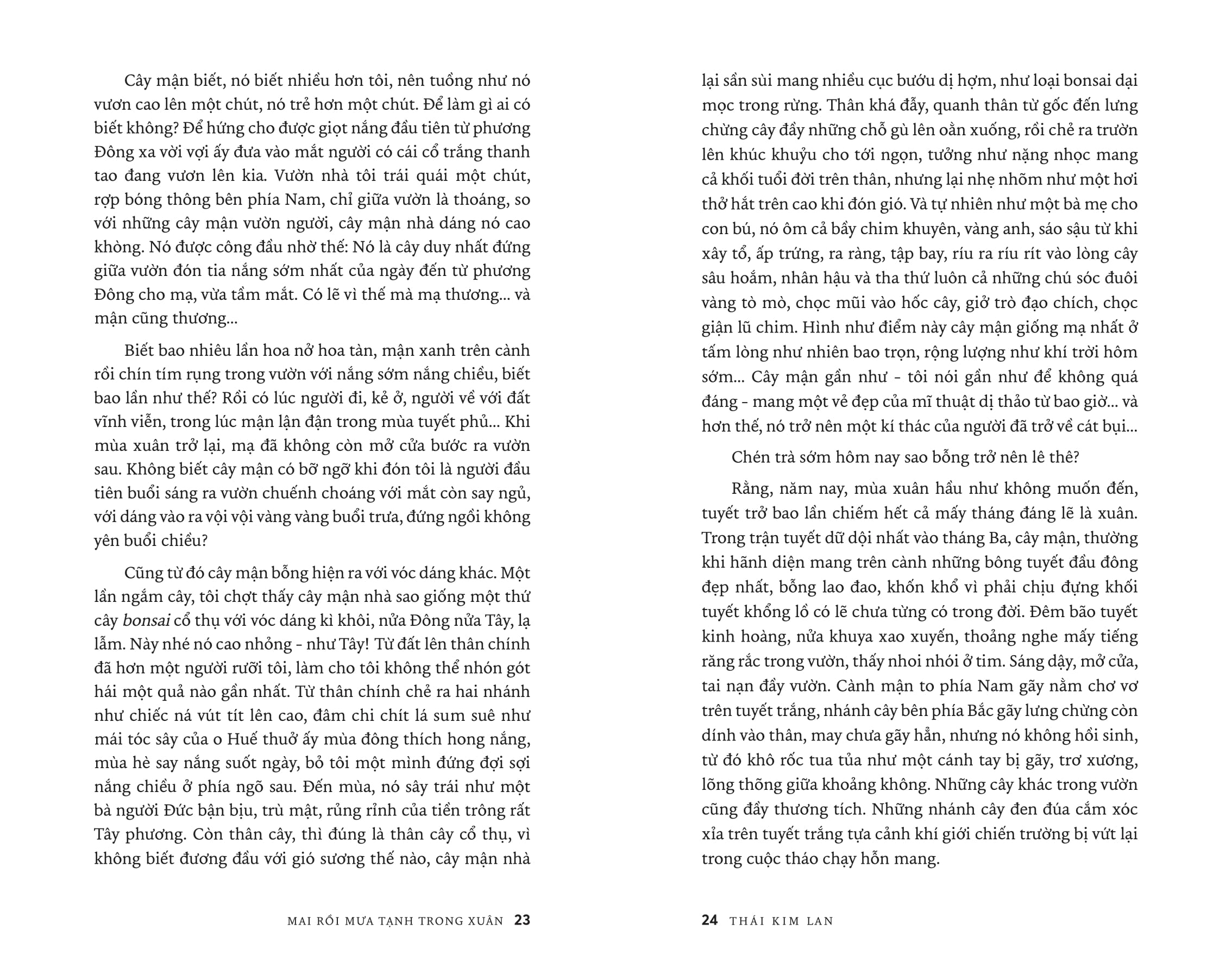 Mai Rồi Mưa Tạnh Trong Xuân (Tái Bản 2025) - Ảnh 7