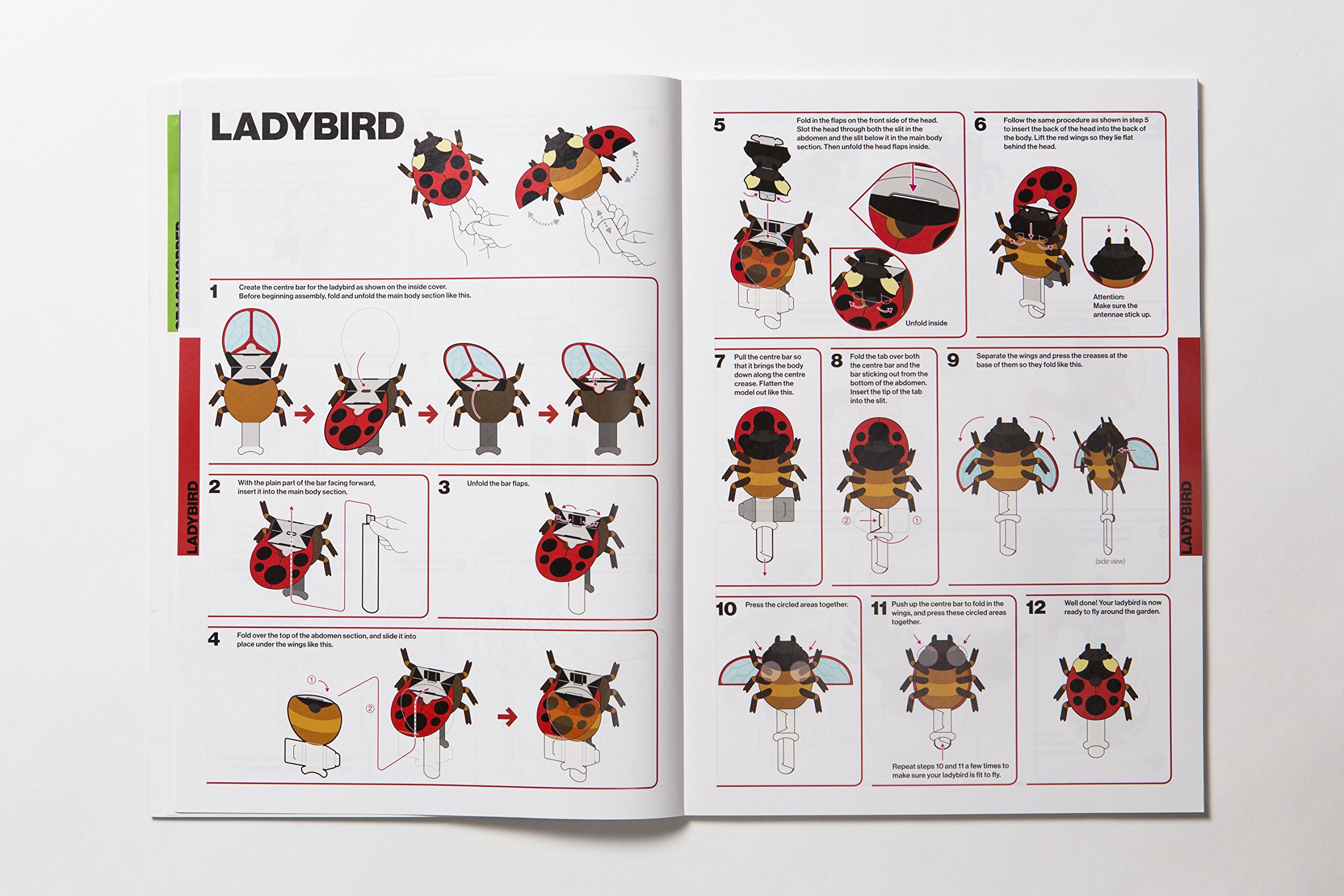 make and move: minibeasts - Ảnh 4