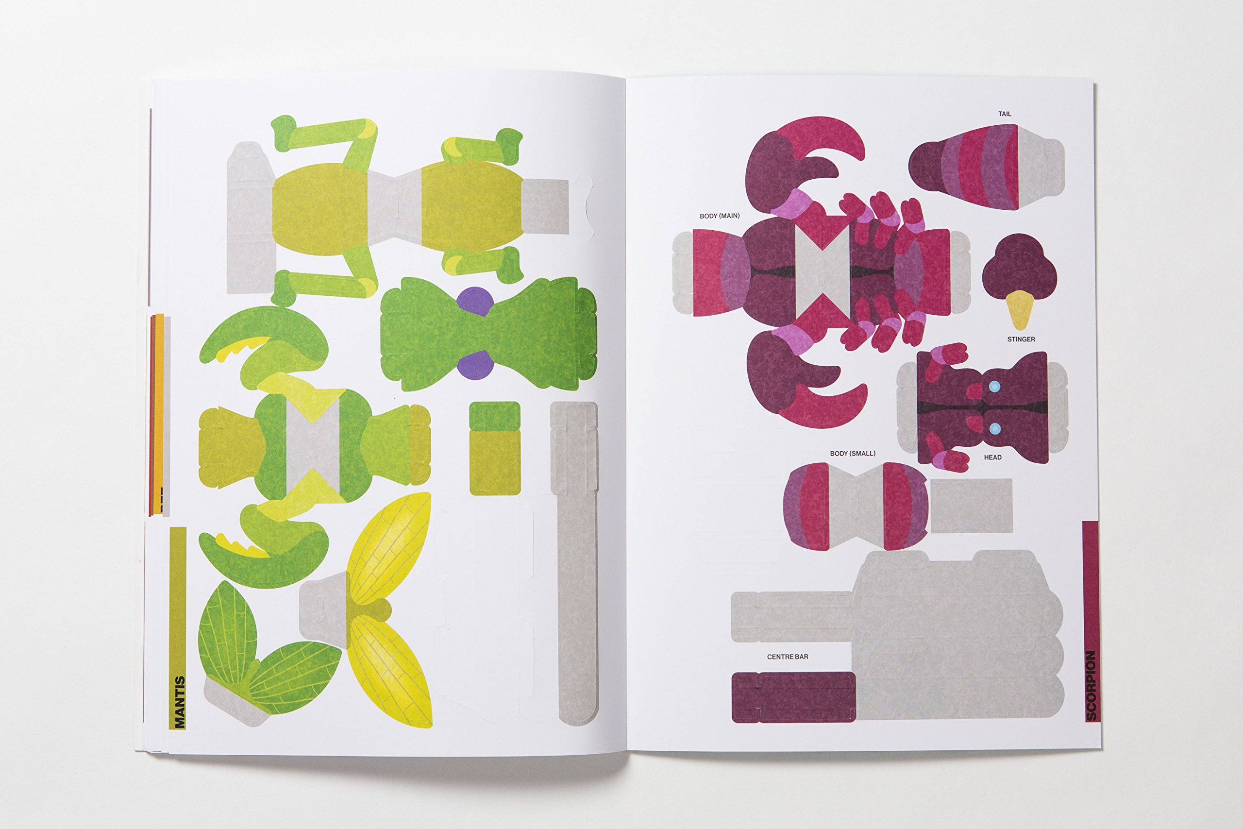 make and move: minibeasts - Ảnh 5