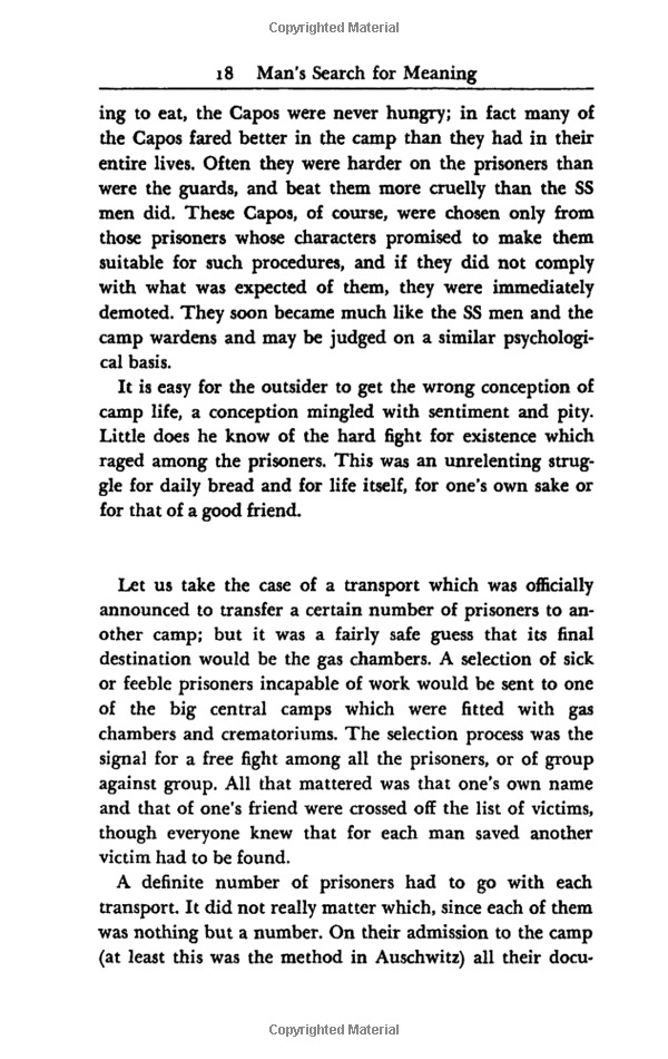 man's search for meaning - Ảnh 12