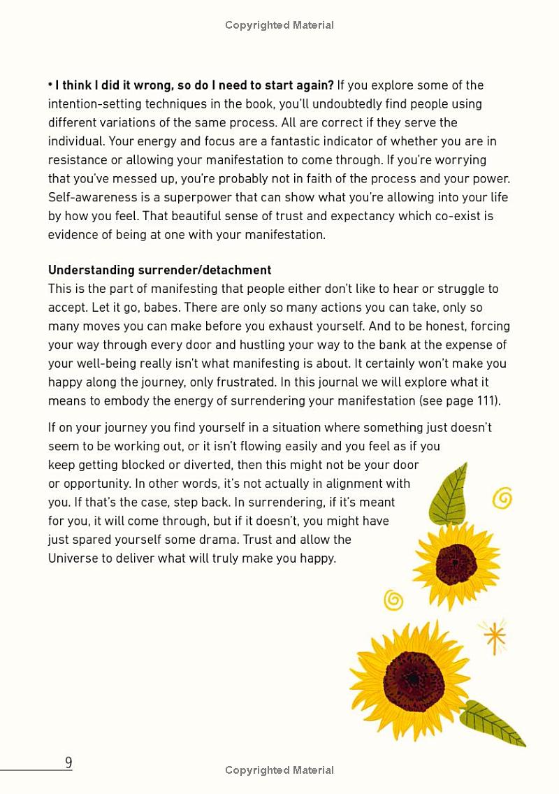 manifesting happiness - Ảnh 7