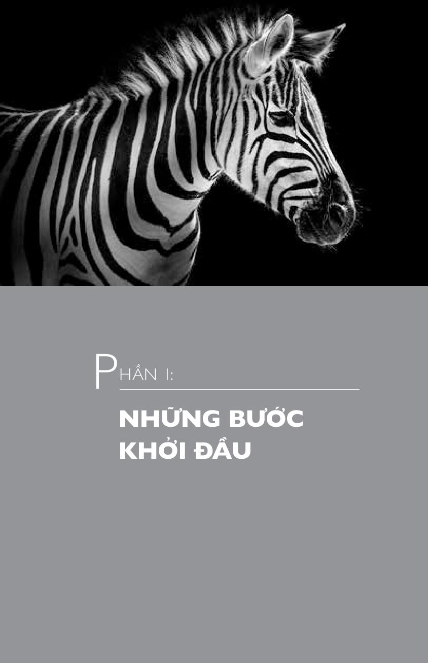 marketing sáng tạo dành cho doanh nghiệp nhỏ (tái bản 2018) - Ảnh 5