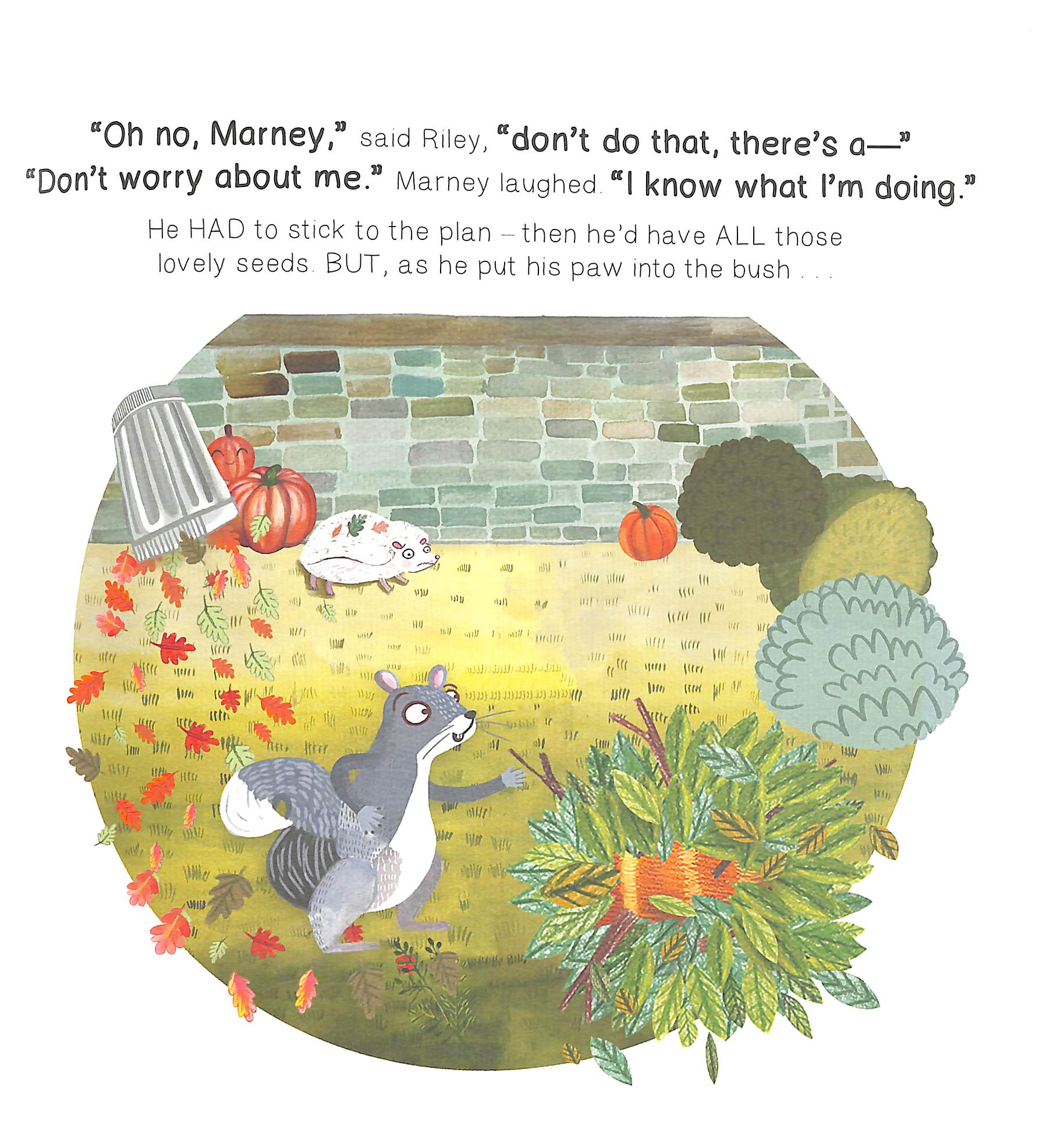 marney's pumpkin mix up - Ảnh 6