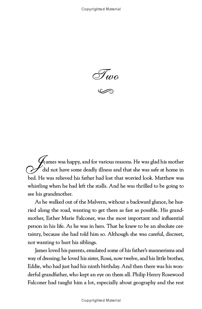 master of his fate: the house of falconer - Ảnh 14