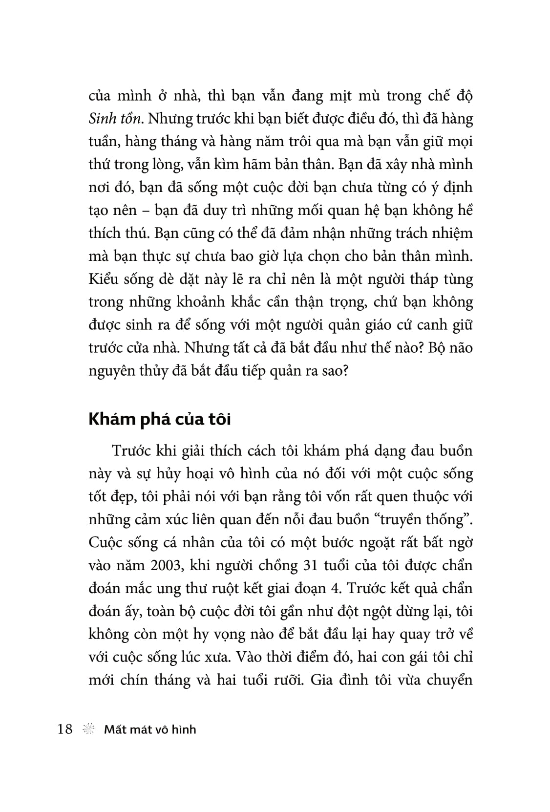 mất mát vô hình - invisible loss - Ảnh 11