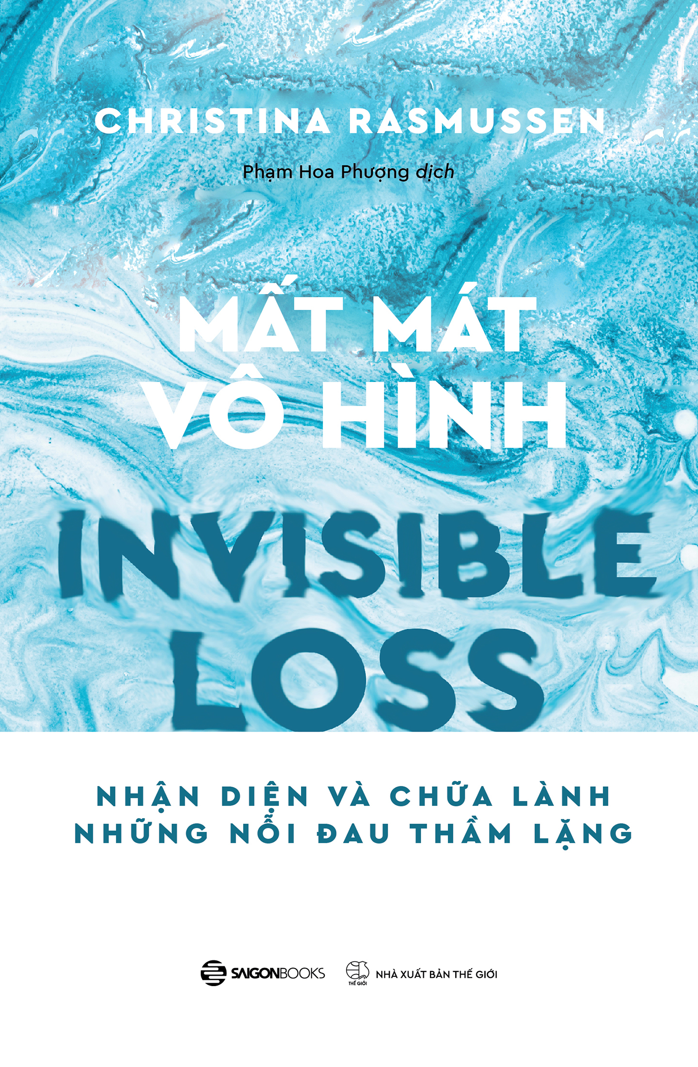 mất mát vô hình - invisible loss - Ảnh 2