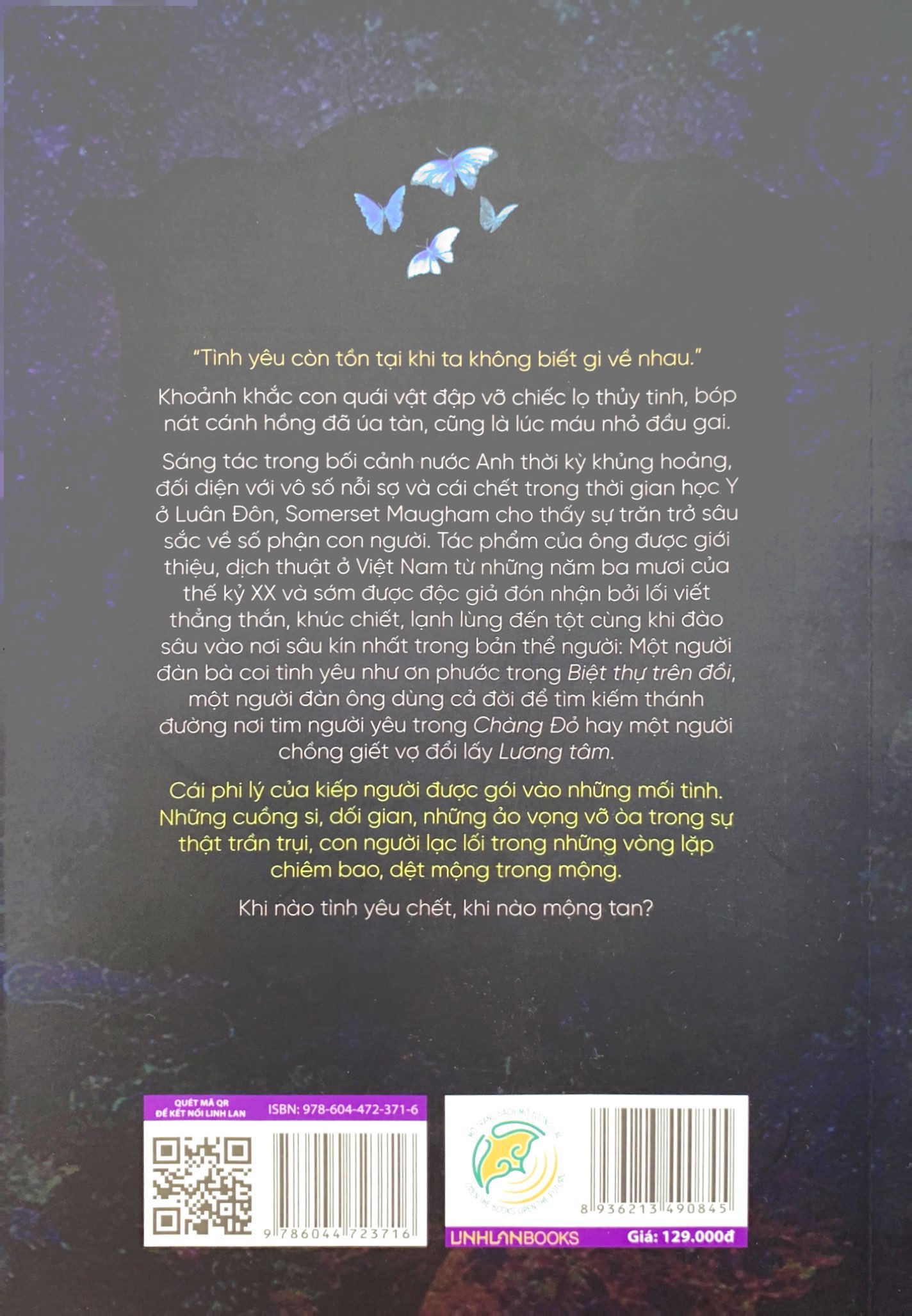 mặt nạ bươm bướm - Ảnh 8