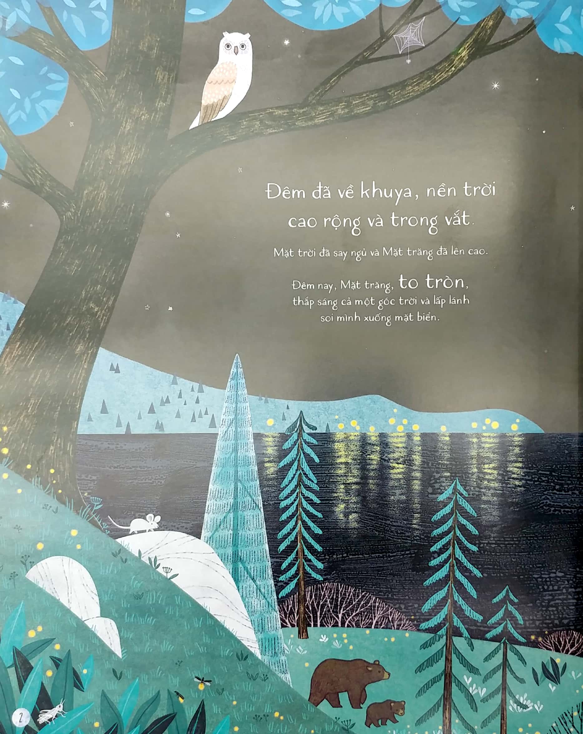 mặt trăng - Ảnh 3