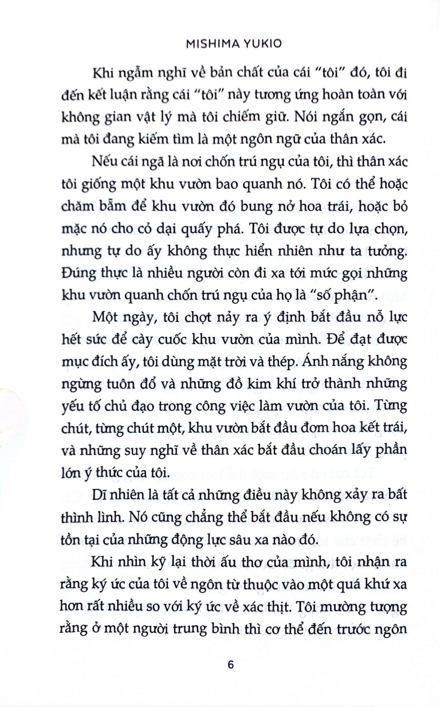 mặt trời và thép - Ảnh 5