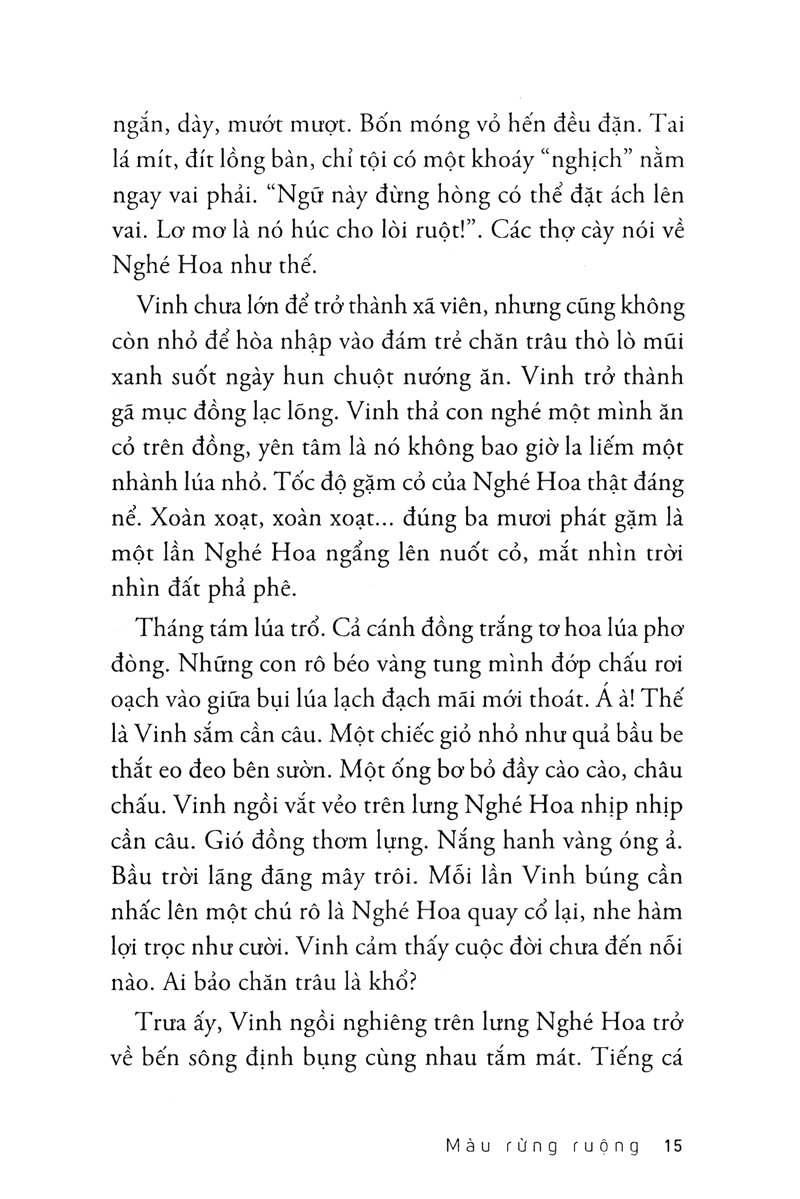 màu rừng ruộng - Ảnh 12