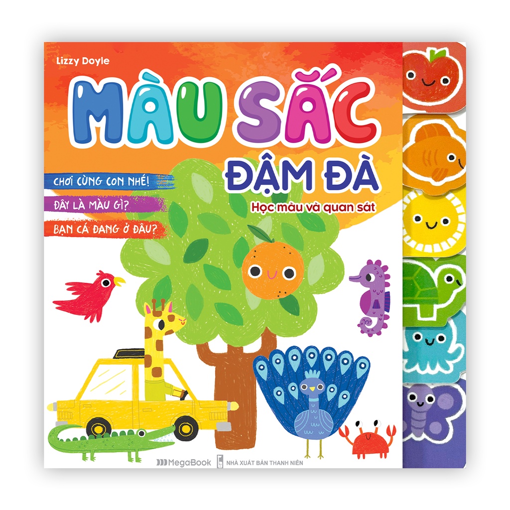 màu sắc đậm đà - học màu và quan sát - Ảnh 2