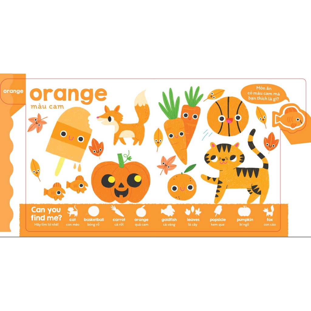 màu sắc đậm đà - học màu và quan sát - Ảnh 3