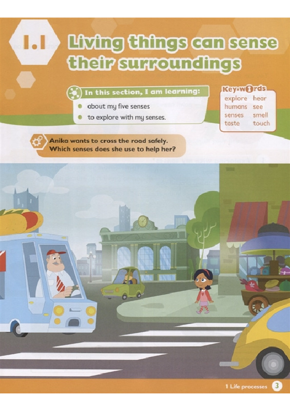 max science primary grade 3 student's book - Ảnh 3