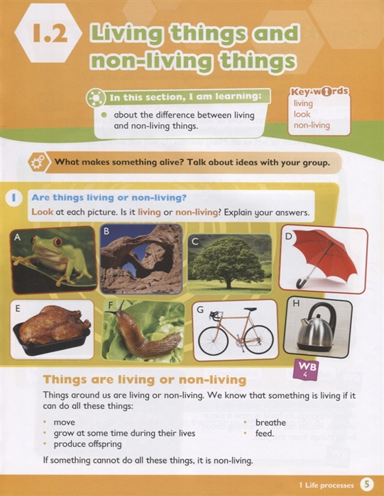 max science primary grade 3 student's book - Ảnh 4