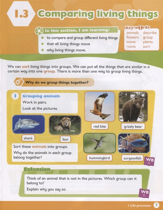 max science primary grade 3 student's book - Ảnh 5