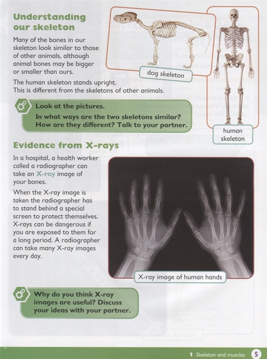 max science primary grade 4 student's book - Ảnh 4