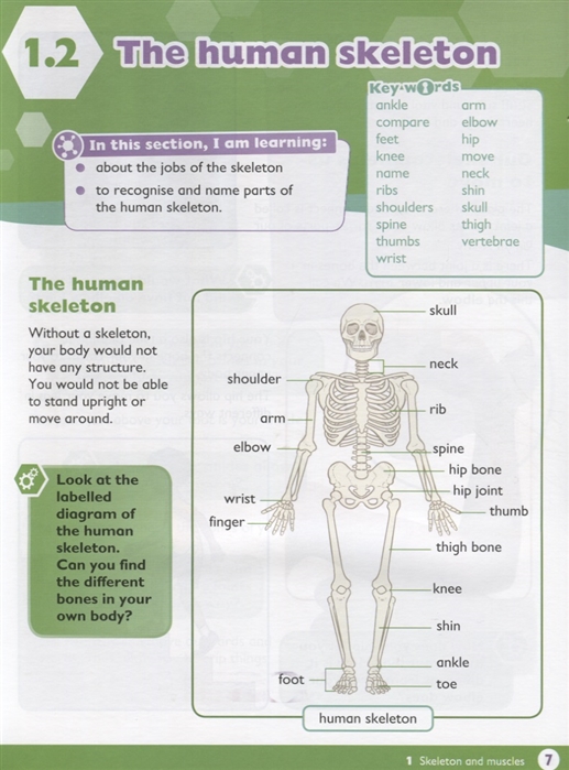 max science primary grade 4 student's book - Ảnh 5
